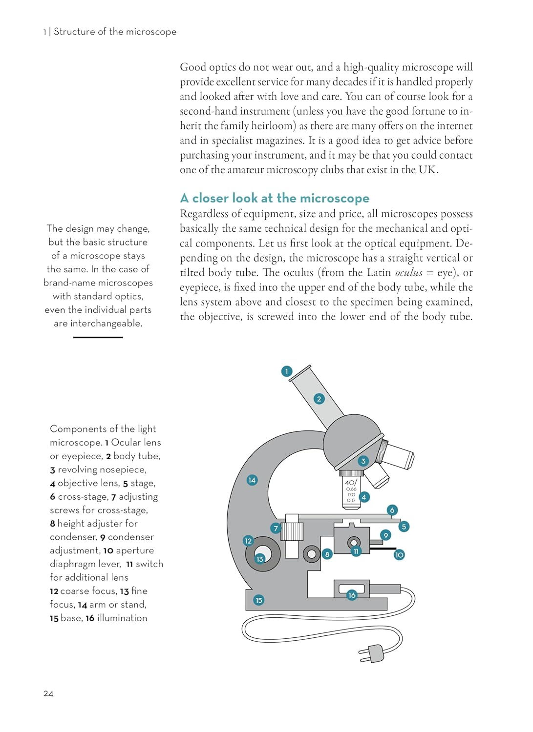 Worlds within Worlds: an Introduction to Microscopes image number 4