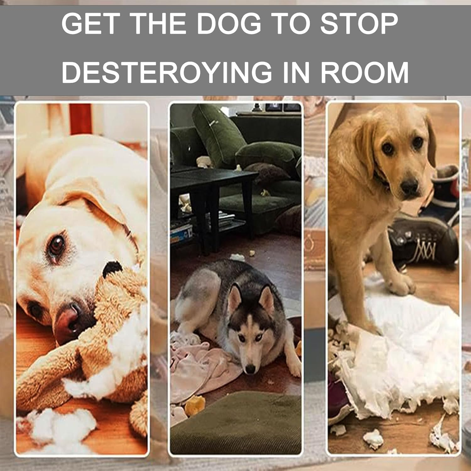 Heavy Duty Dog Bungee Tug Toy - Outdoor Interactive Play for Small/Medium/Large Dogs with Ground Stake for Lawns & Trees image number 2