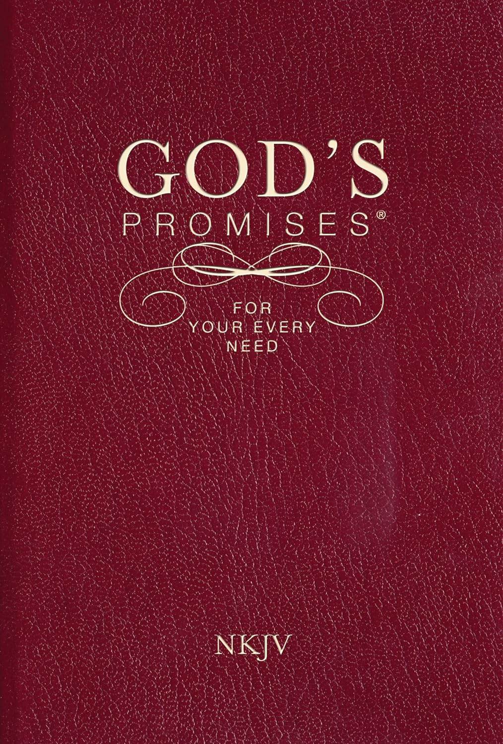 God'S Promises for Your Every Need, NKJV: a Treasury of Scripture for Life image number 5