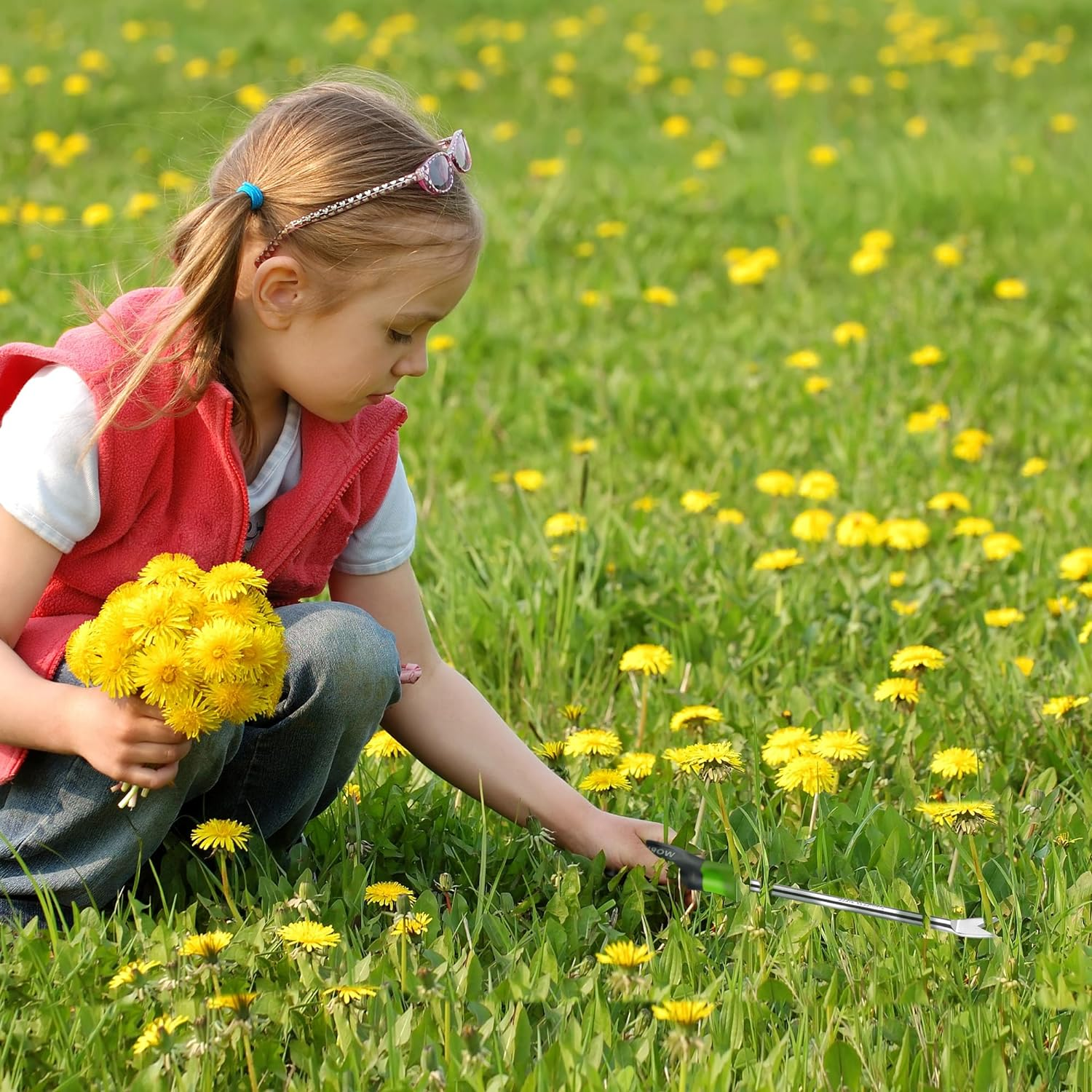 WORKPRO 11.5" Dandelion Weeder Puller Tool with Soft Handle, Polished Stainless Steel Garden Weed Remover Tool, Two-Pronged Fork Weeder Tool for Lawn Farmland Transplant Gardening Plant Tool image number 2