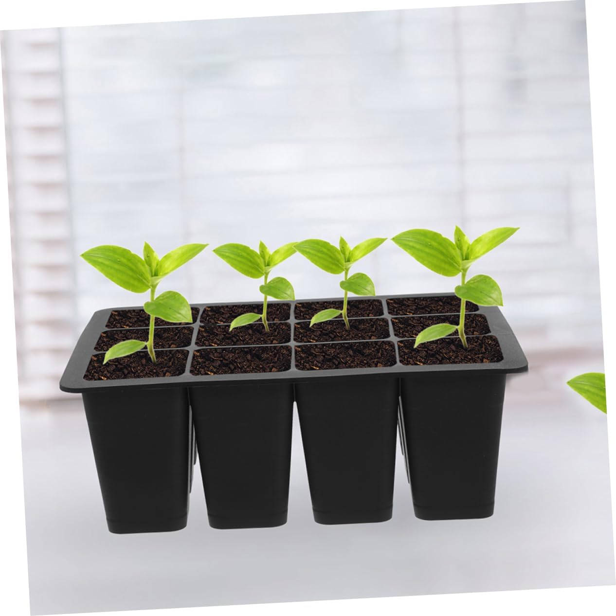 FUNOMOCYA Plant Germination Trays Starter Tray Kit Lids Planting Supplies Starter Pots for Indoor Gardening image number 4