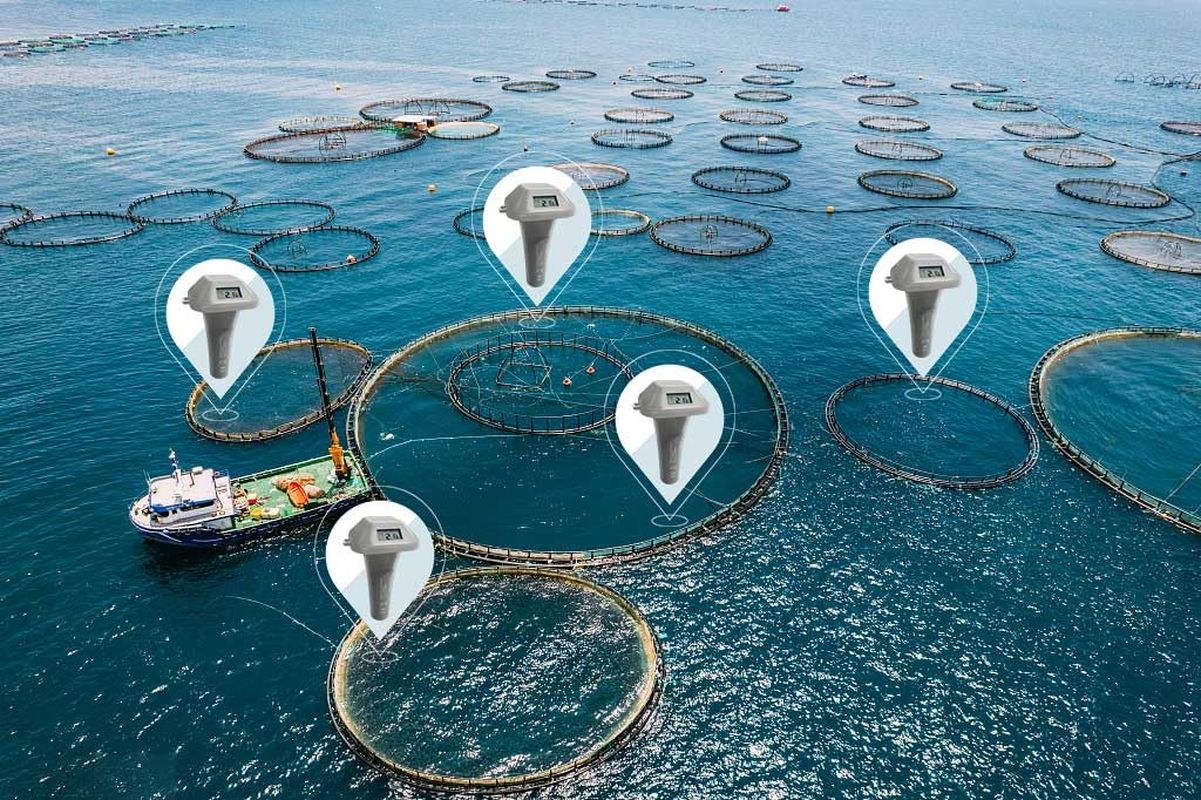 Ecowitt WH0298 Wireless Pool Thermometer with LCD Display Console, Floating Easy Read Pool Thermometer for Swimming Pool, Hot Tubs and Bath Water, 433 Mhz image number 5