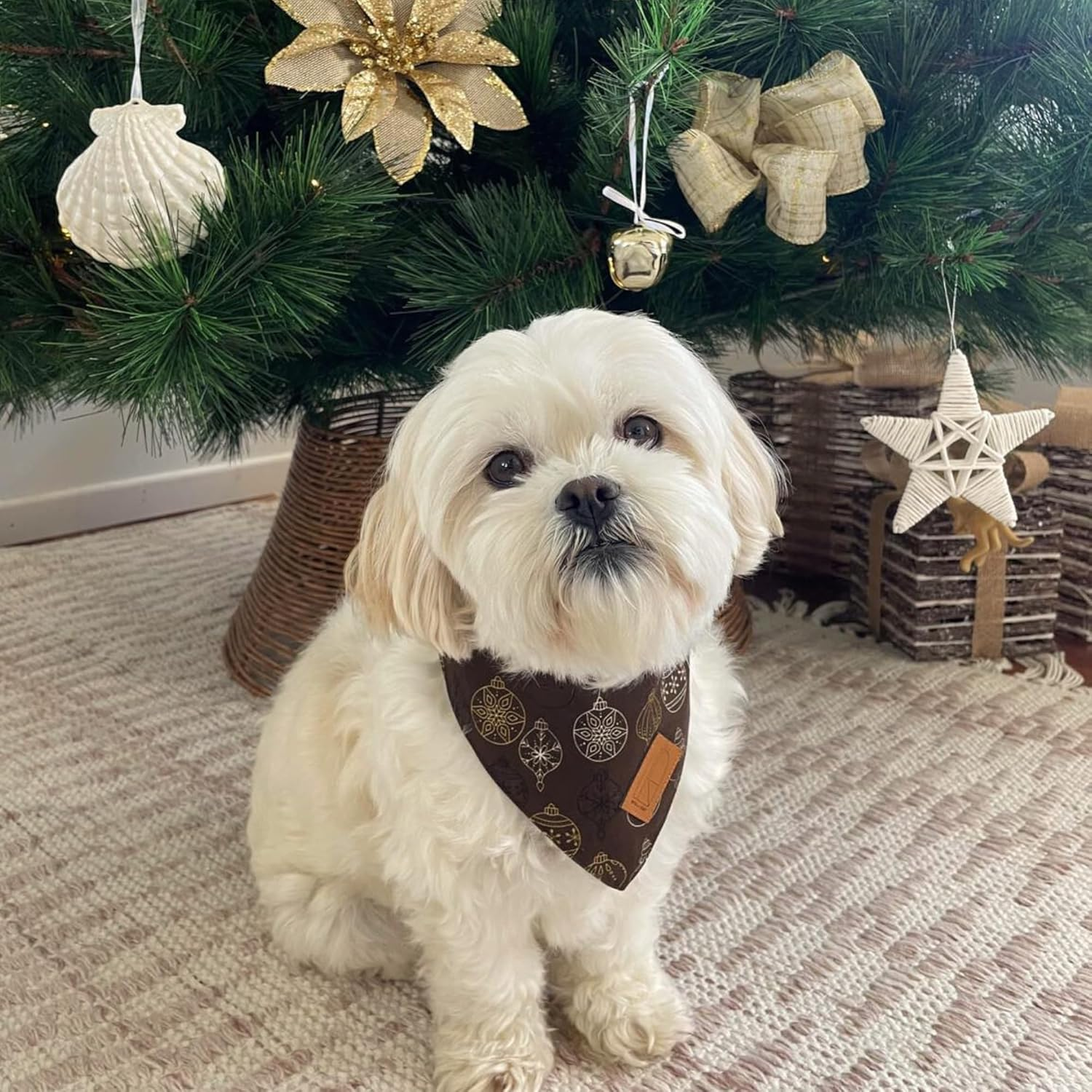 Christmas Dog Bandanas, 2 Pack, Gingerbread and Bauble Designs, Cotton, Adjustable for Small to Large Dogs (Medium) image number 5