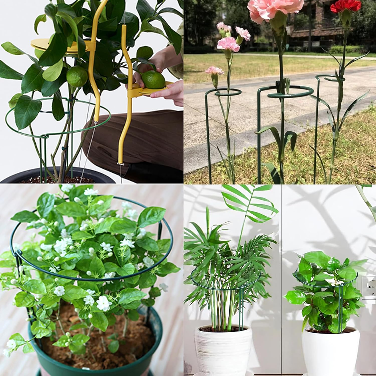 33Pcs Plant Support Stakes,12Pcs Semicircular Plant Stakes for Indoor Plants,20Pcs Plant Clips,Plant Sticks Support Tall for Monstera,Tomatoes,Rose image number 5