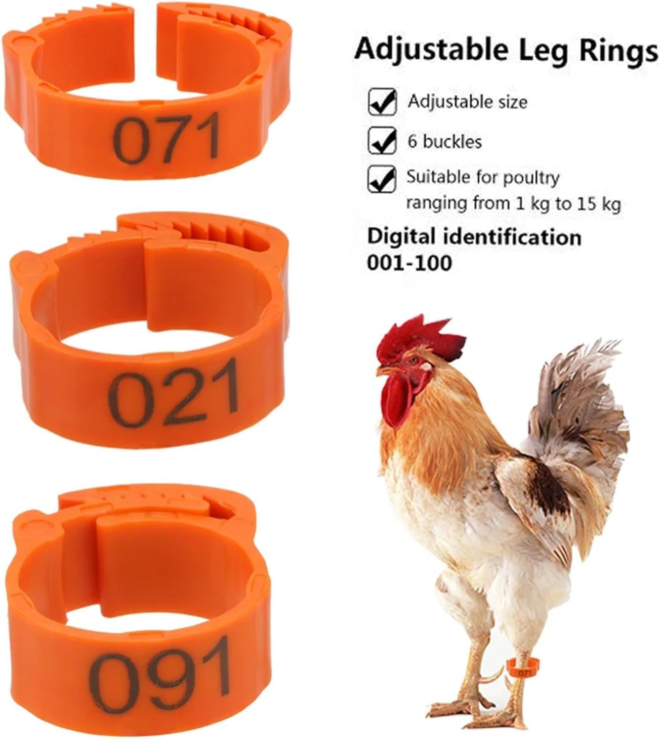 100X Poultry Foot Bands Chicken Leg Rings Adjustable Numbered Tag Markers Poultry Leg Bands Poultry Foot Rings for Chickens image number 3