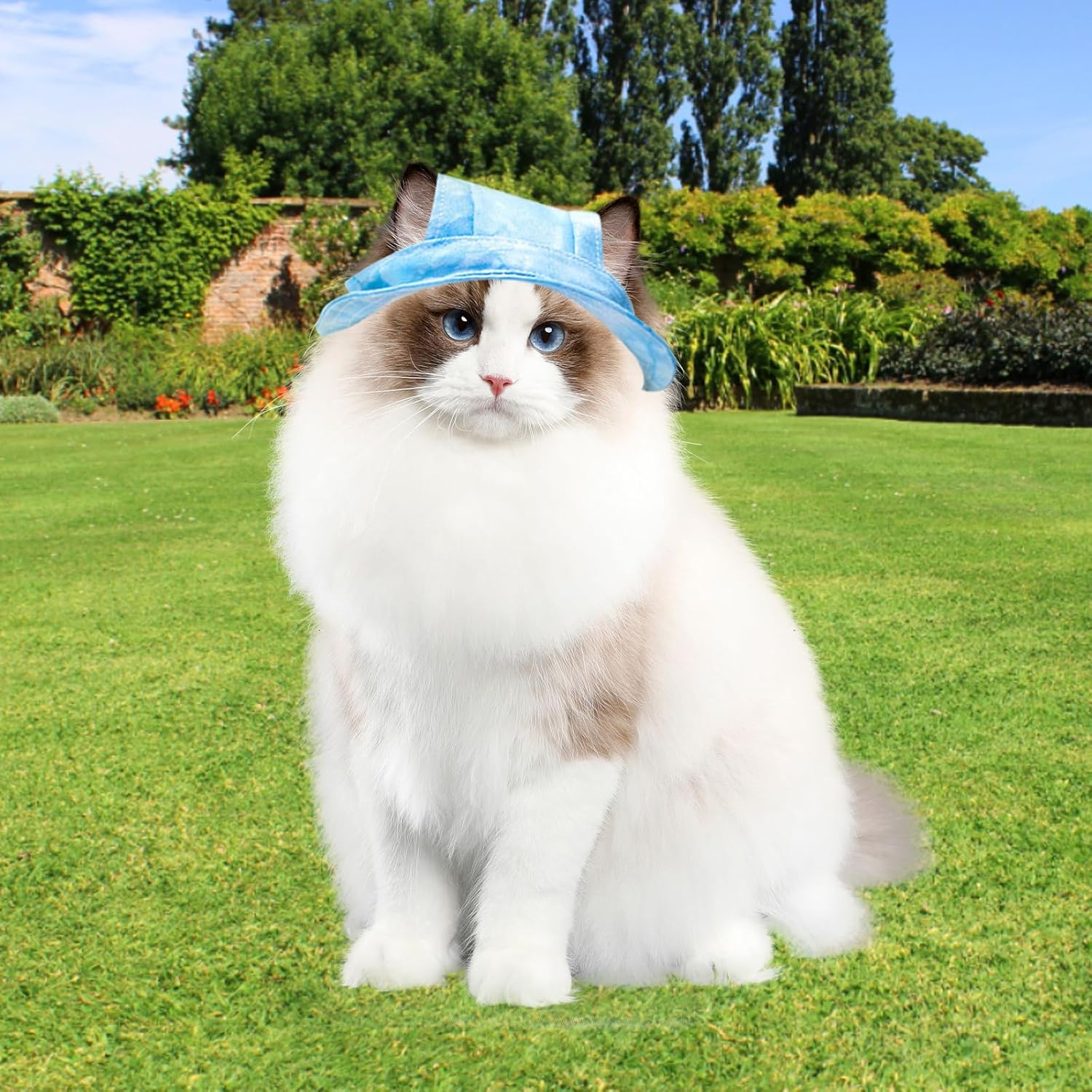 TYXHXTF Dog Baseball Cap, Outdoor Sun Protection, Visor Cap with Ear Holes, Blue, M