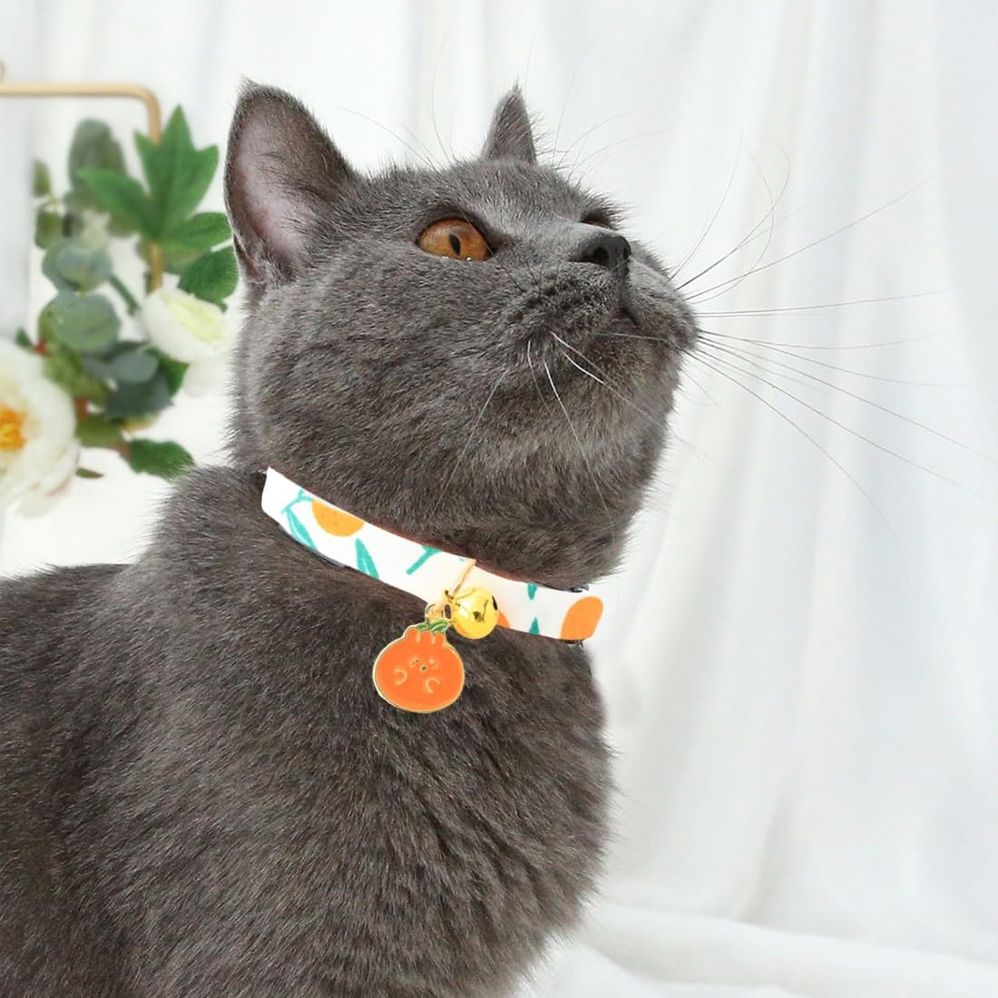 2 Pack Tear off Cotton Cat Collar with Bell Personalized with Bell Safety Clasp Cute Cat Collar Kitten Collar Ideal for Cats