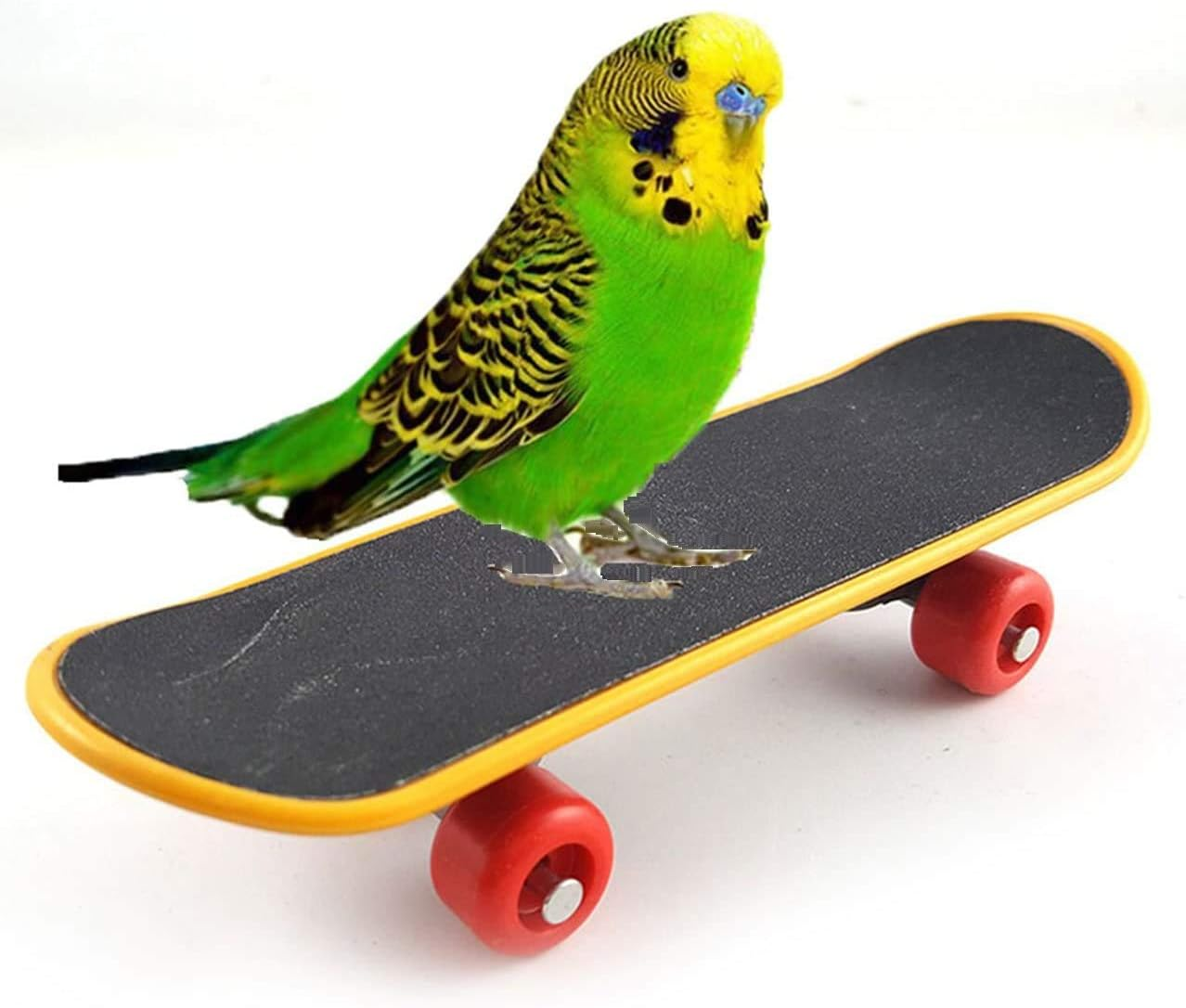 Litewoo Bird Parrot Intelligence Toys Mini Training Skateboard for Budgies Parakeet Cockatiel Lovebird Conure Small and Medium Bird Funny Cute Perch Toy - Parrot Basketball Toy image number 5