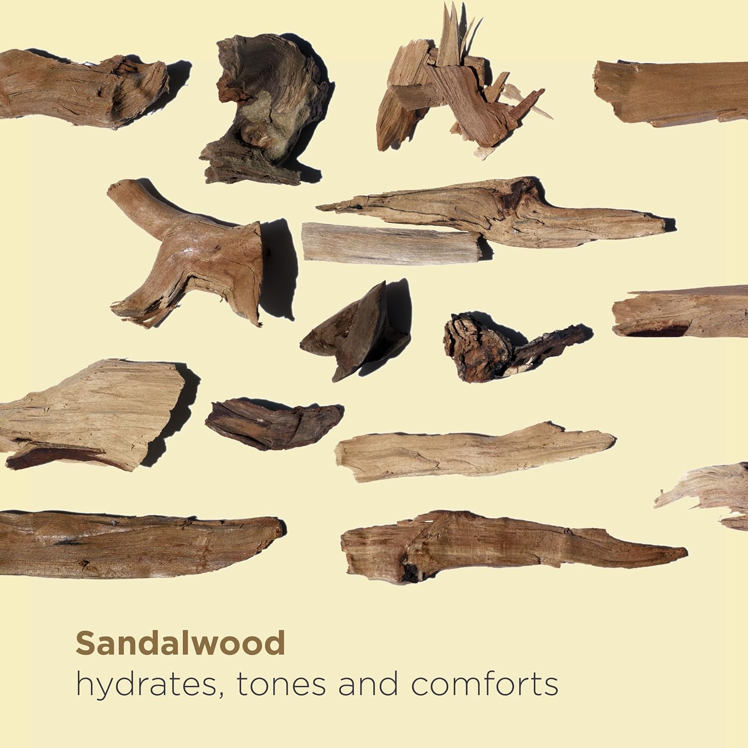 Santal Face Treatment Oil - Dry Skin by Clarins for Unisex - 1 Oz Treatment image number 2