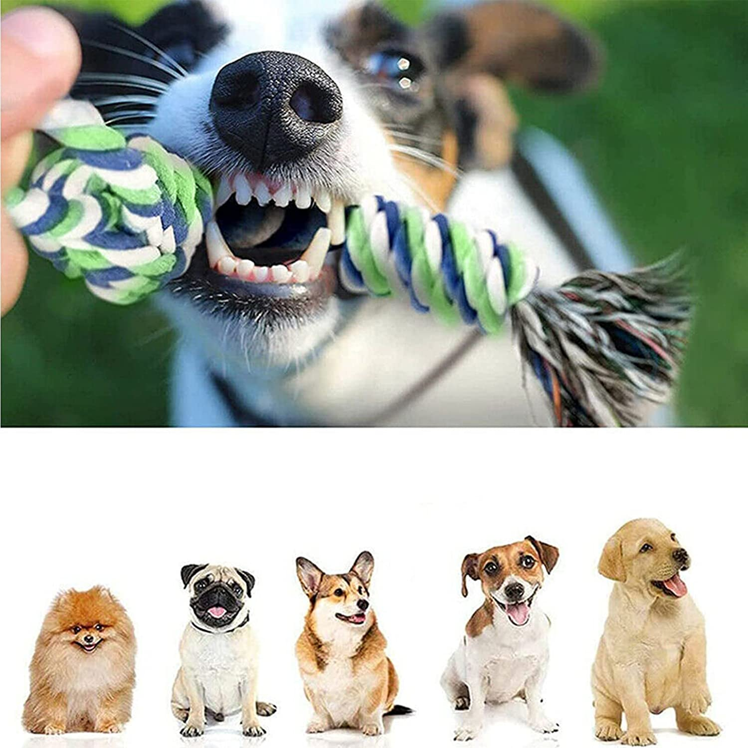 12 Pcs Dog Rope Toys Set, Durable Dog Rope Toys for Small Pets Dogs, Puppy Toys Set Dog Chew Toys for Interactive, Teething Training, Relieve Boredom and Stress for Small Medium Dogs image number 1