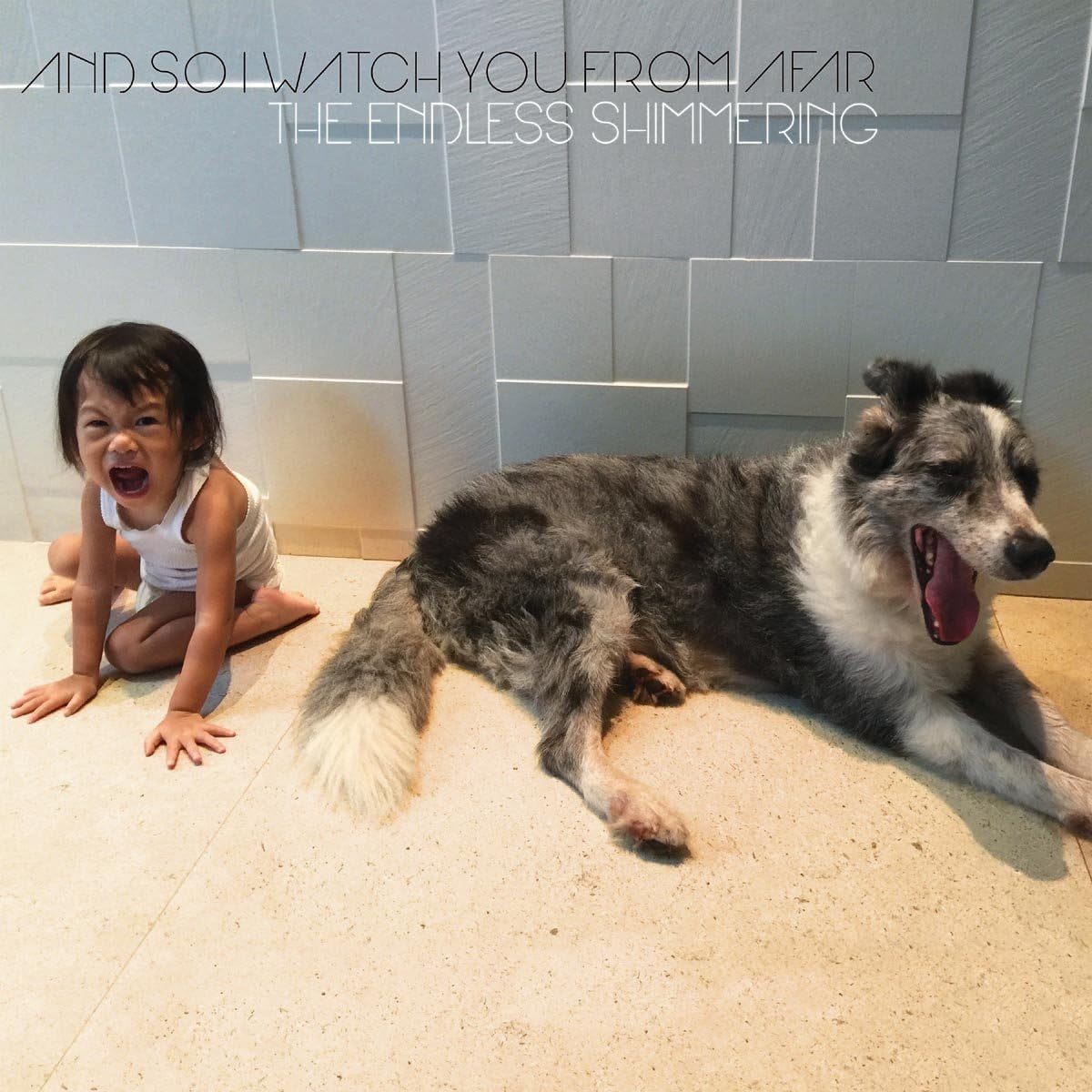 The Endless Shimmering image number 1