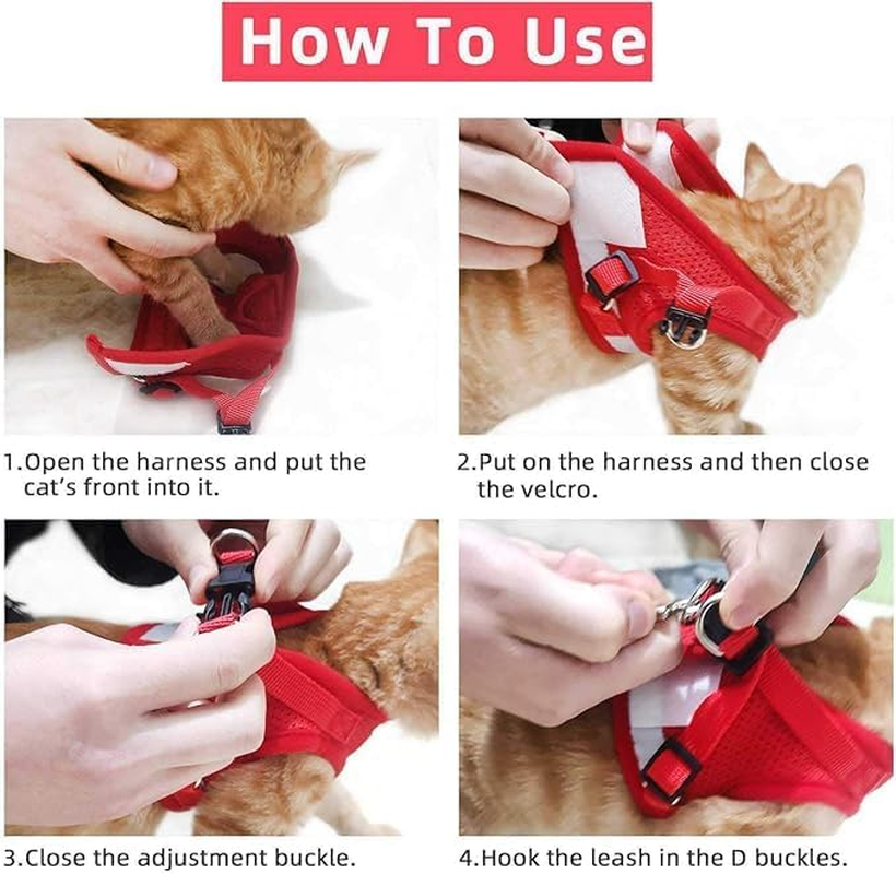 4M Pets No-Pull Reflective Mesh Dog Harness & Leash &ndash; Breathable, Step-In Vest for Small & Medium Dogs image number 6