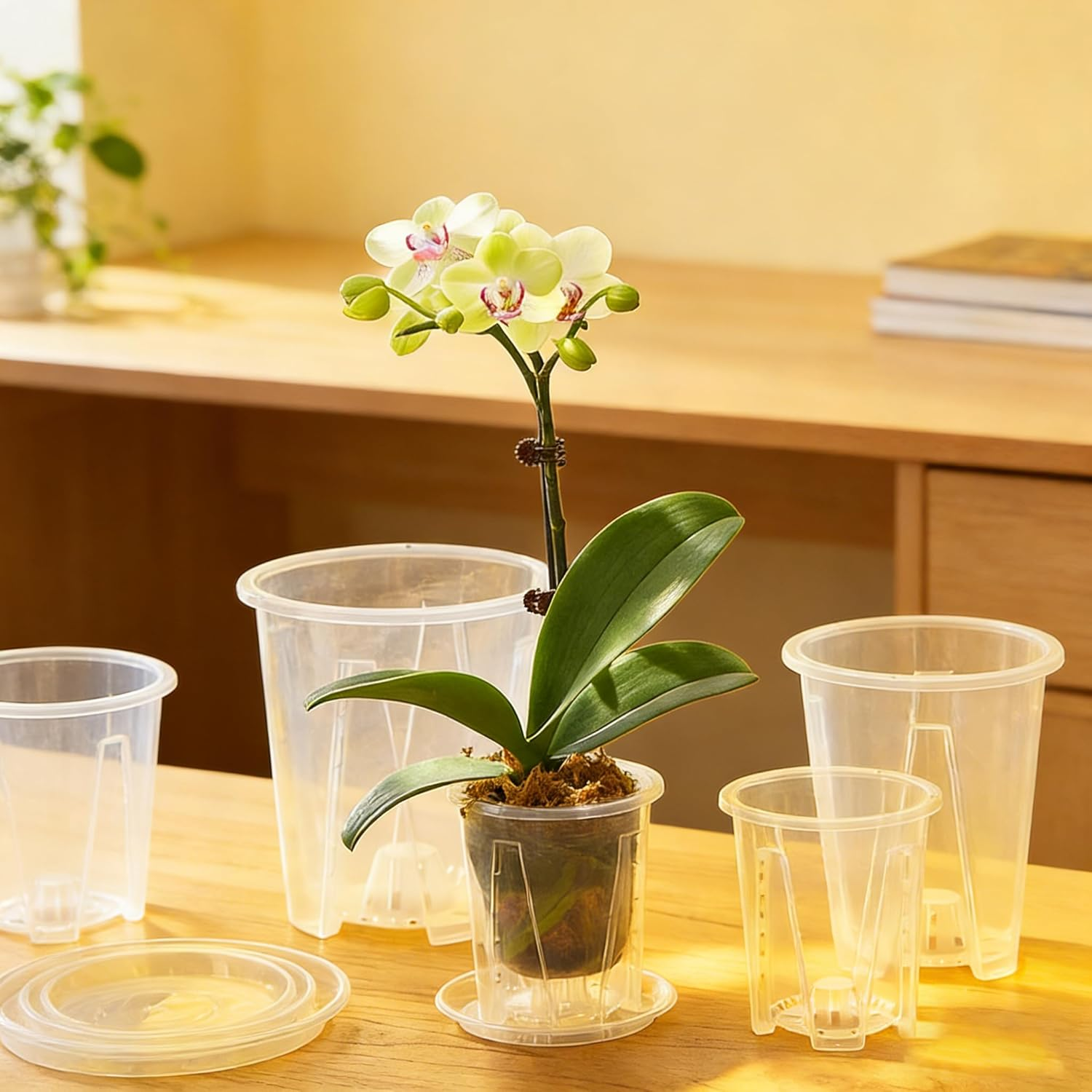 5 Piece of 14 Cm Clear Plastic Plant Pots with Holes and Saucers, Breathable for Orchids, Succulents and Houseplants.