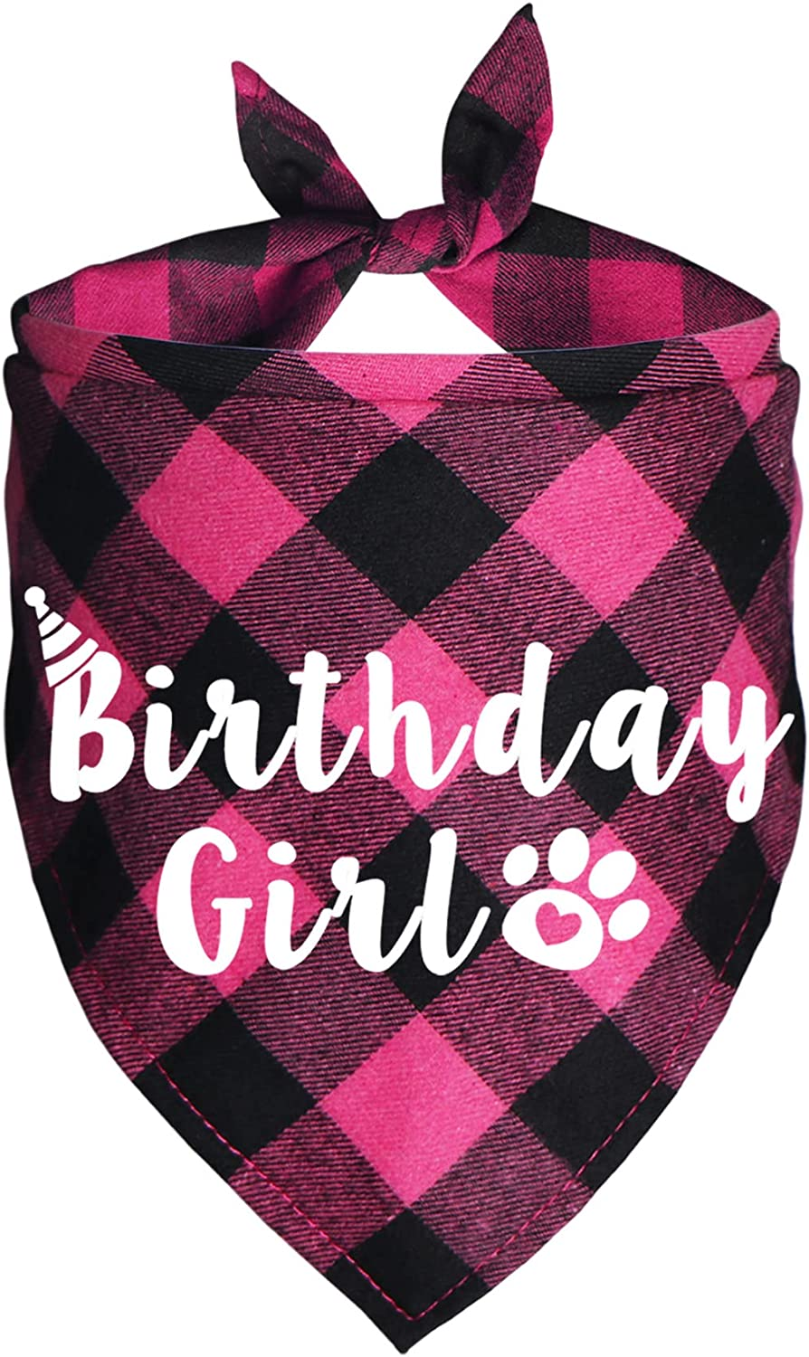 Plaid Dog Bandanas for Birthday Party Supplies (Blue and Pink)