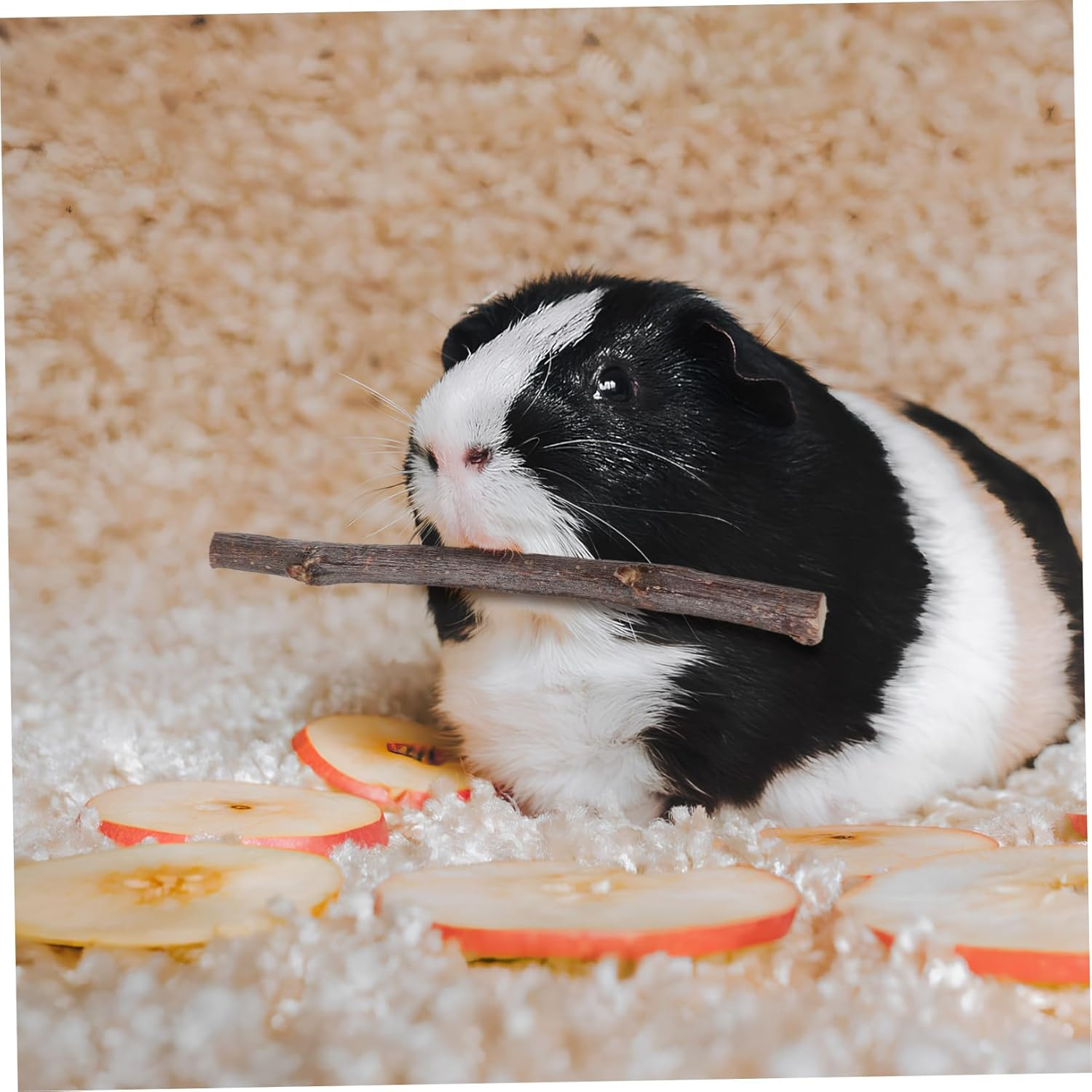 Toddmomy 55Pcs Bunny Chew Sticks Variety Pack 15 Natural Bamboo 20 Papaya Stem 20 Sticks Small PET Chew Toys for Rabbits Hamsters Chinchillas Guinea Pigs Wood Chewing for Tooth Grinding image number 5