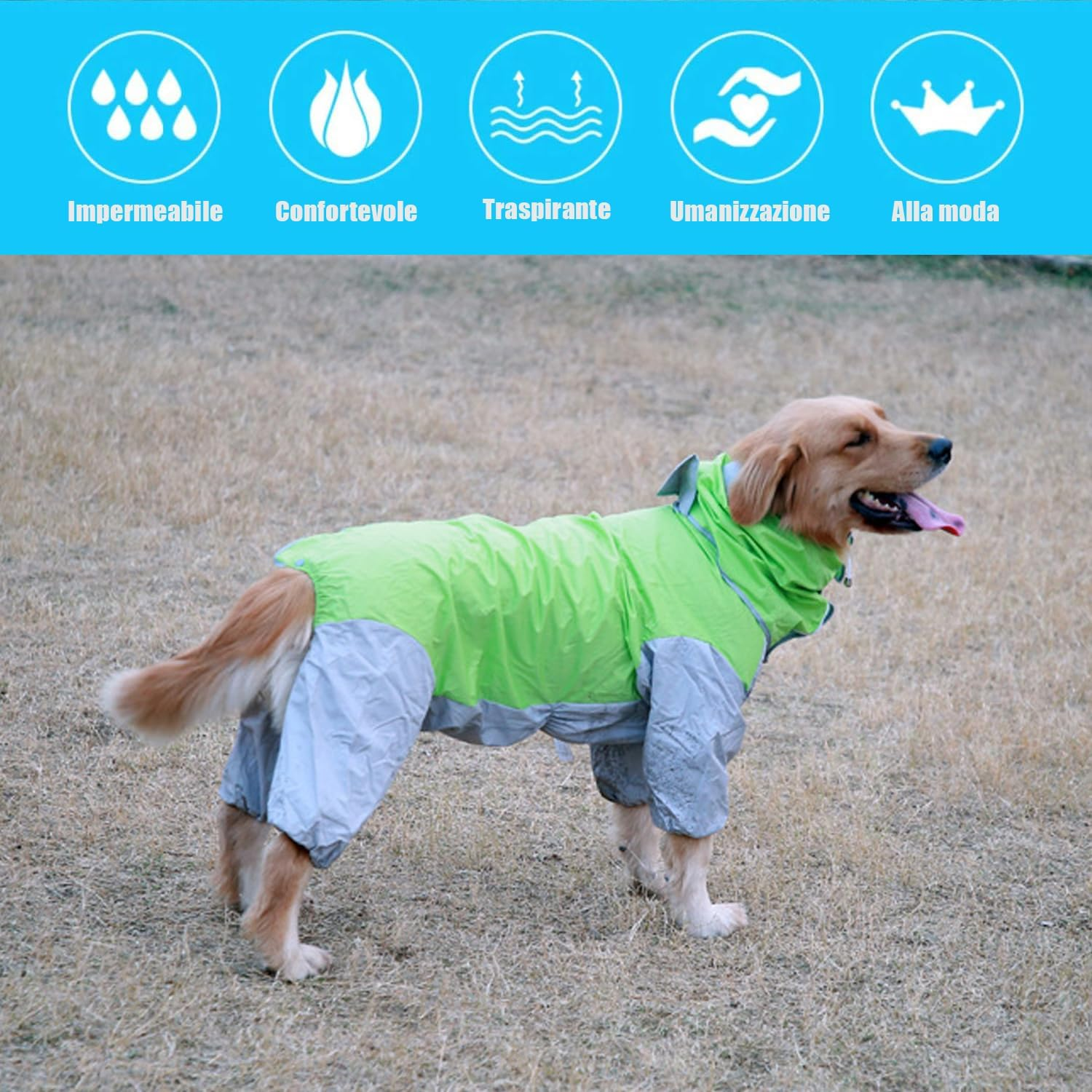 Norhogo Dog Clothes, Waterproof Dog Coat with Hood, Adjustable Waterproof Poncho, Lightweight, Quick-Drying Rain Jacket, Pet Accessories for Dogs, Medium/Large Size (26, Green) image number 6