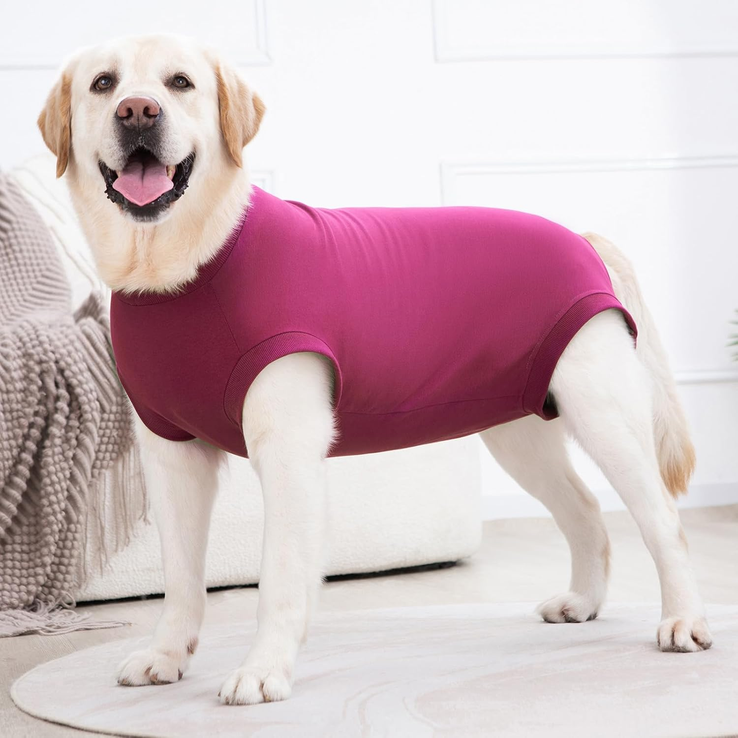 Axcimond Dog Body after Surgery Leak Protection Dog Surgery Body Dog Castration Male Medical Pet Shirt Dog Onesie Wound Protection Suits for Dogs with Velcro Fastening Alternatives to Cone And image number 5