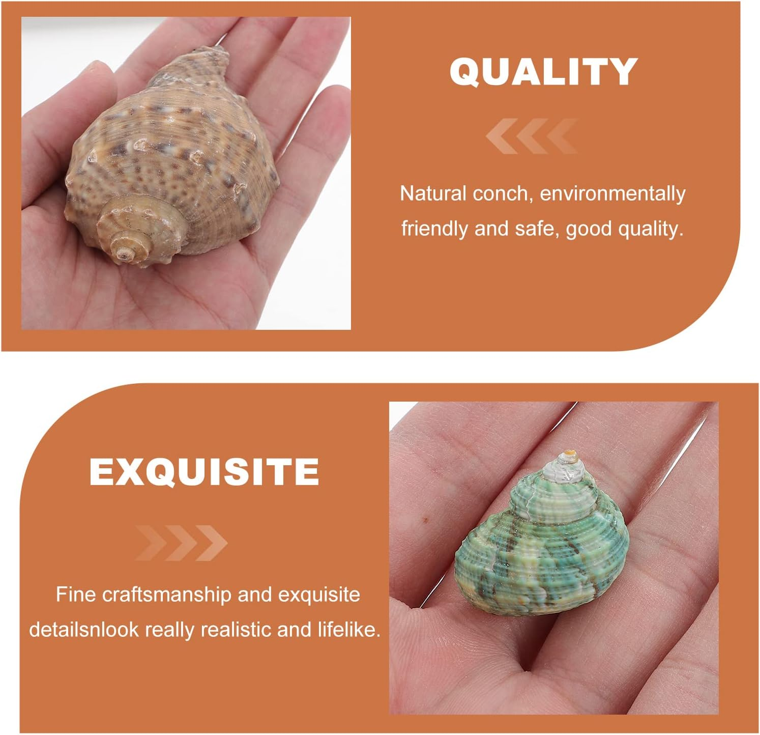 POPETPOP 1 Set Aquarium Conch Decor Hermit Crabs Shells Fish Tank Aquarium Adorns image number 2