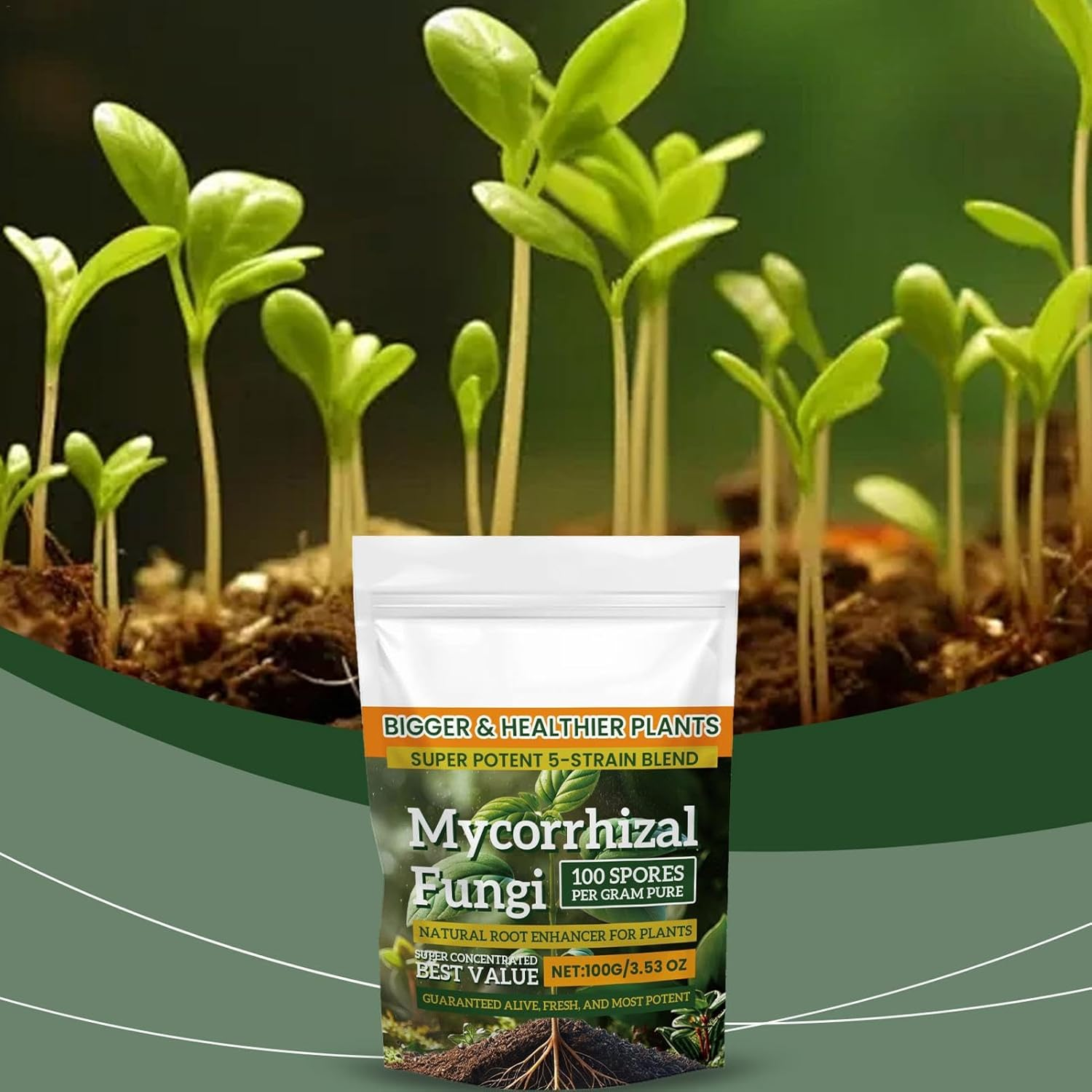 Plant Growth Promoter - 100G Plant Enhancer Nutrient Powder,Balanced Formula Planting Tool for Hydroponics, Mixed Culture, and Soil Culture image number 2