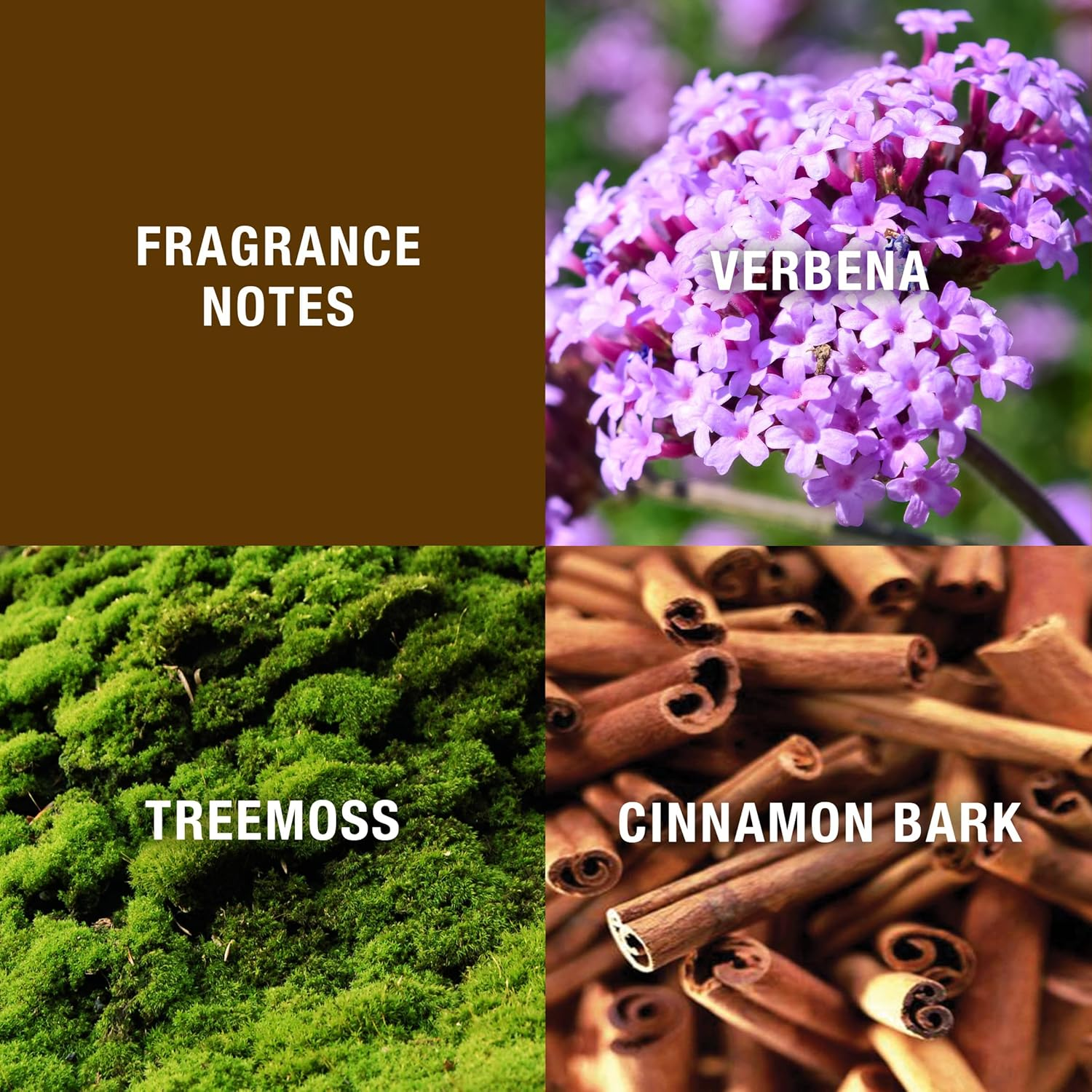 HALSTON Z-14 by Cologne Spray, 125Ml (BBB0067) image number 4