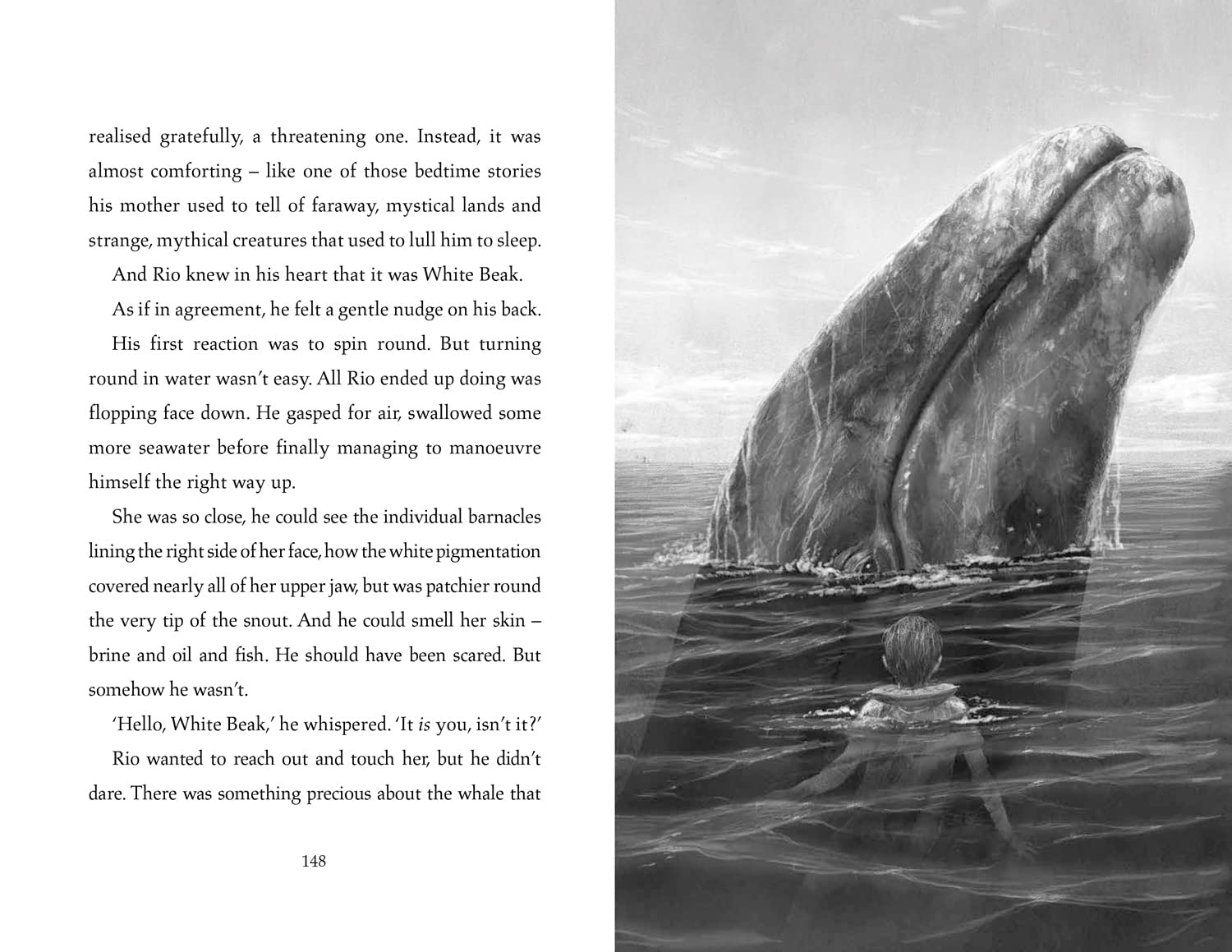 The Lost Whale: a Powerful Animal Adventure Story for Children, from the Bestselling Author of the Last Bear image number 4