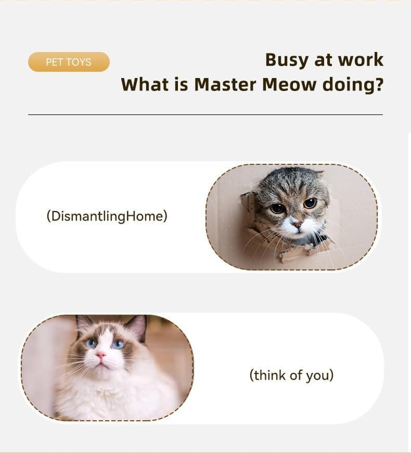 Interactive Cat Toys Ball for Indoor Cats Fast Rolling on Carpet, Motion Activate Cat Toys (Red) image number 1