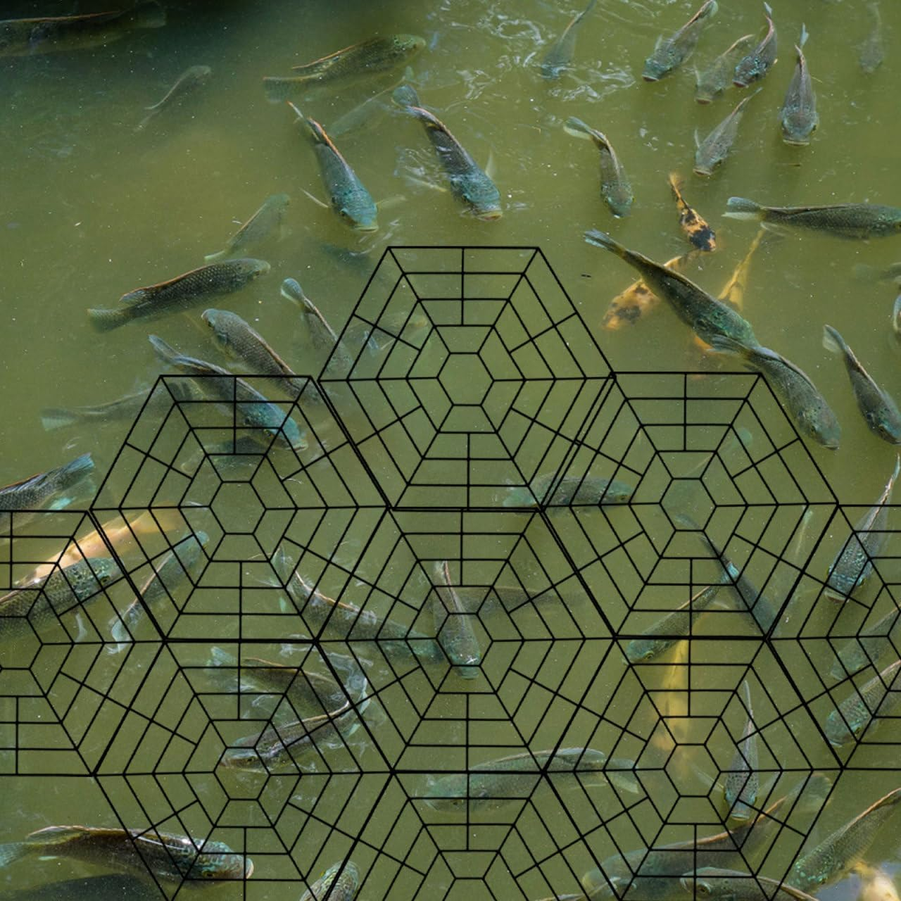 10Pcs Fish Guard Pond Protector Fish Protector Pond Protective Net Fish Protective Net Pond Net image number 6