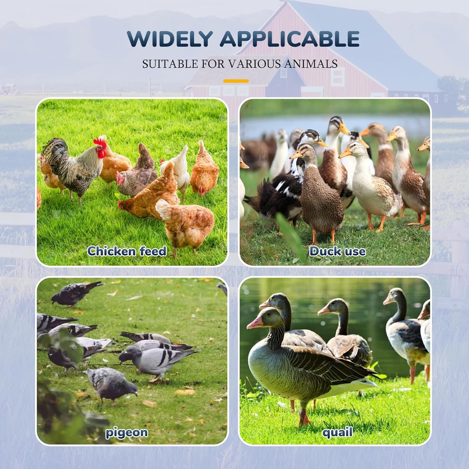 Chicken Feeder and Waterer Set 6PC Automatic Chicken Waterer Cups with Sealed Lid Design Large Capacity Poultry Drinker System with Hole Cutter for Chicks Ducks Geese Birds image number 5