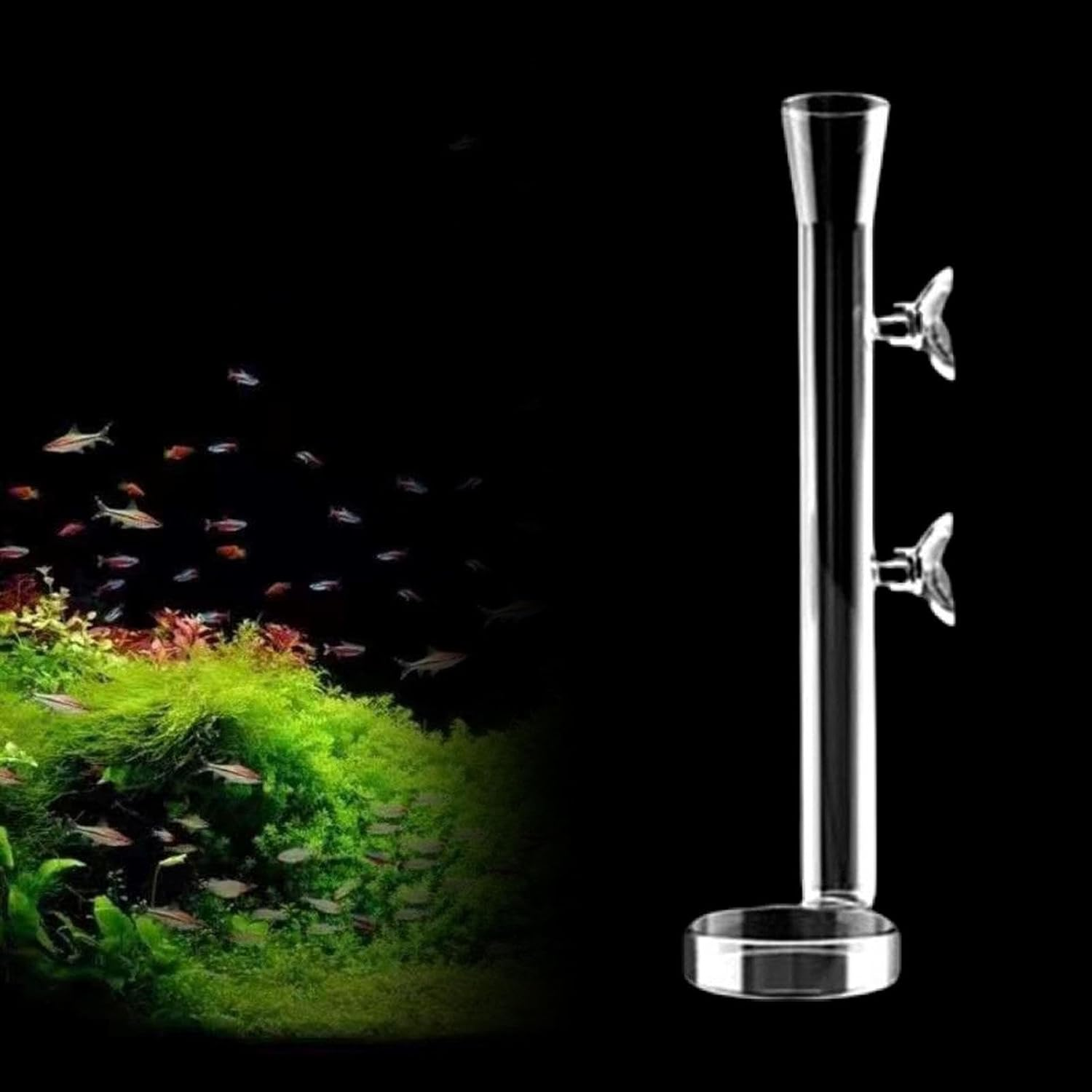 MFMEXUL Elegant Glass Feeder Tube for Aquatic Creatures, 20Cm image number 1