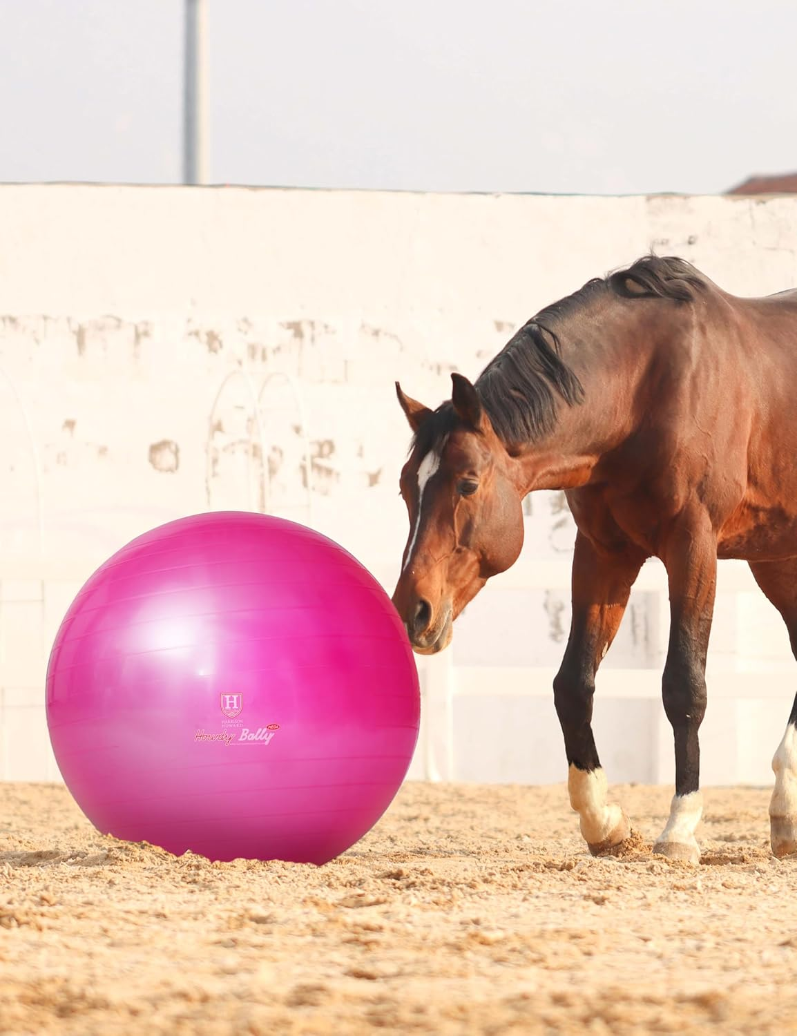 Harrison Howard Howdy Bally Mega Horse Play Ball Anti-Burst Giant Horse Ball 22 Inch-Magenta image number 4