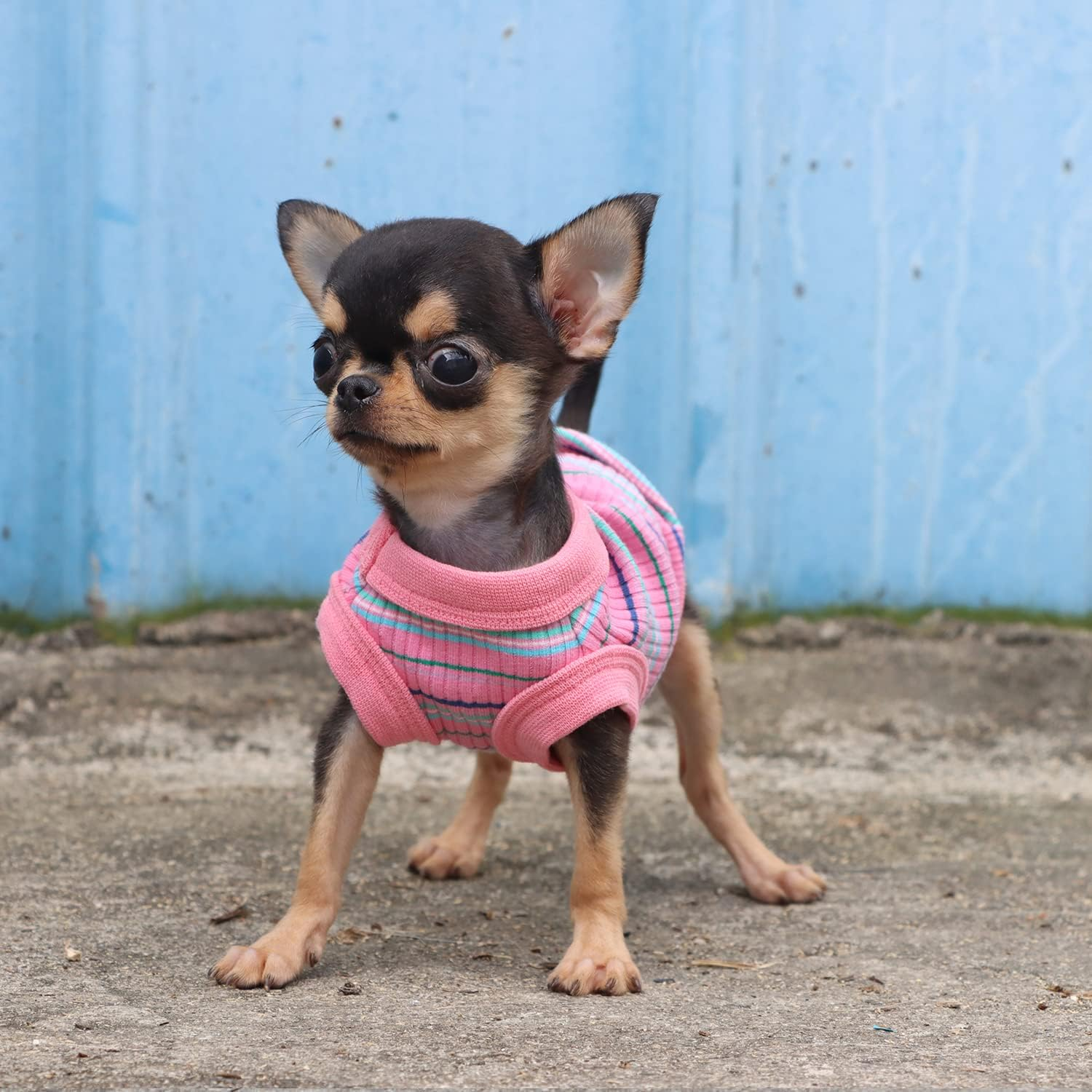 LOPHIPETS 100% Cotton Rib Dog Shirt Vest for Small Dogs Teacup Chihuahua Yorkie Puppy Clothes Tank Tee-Pink/Xs image number 5