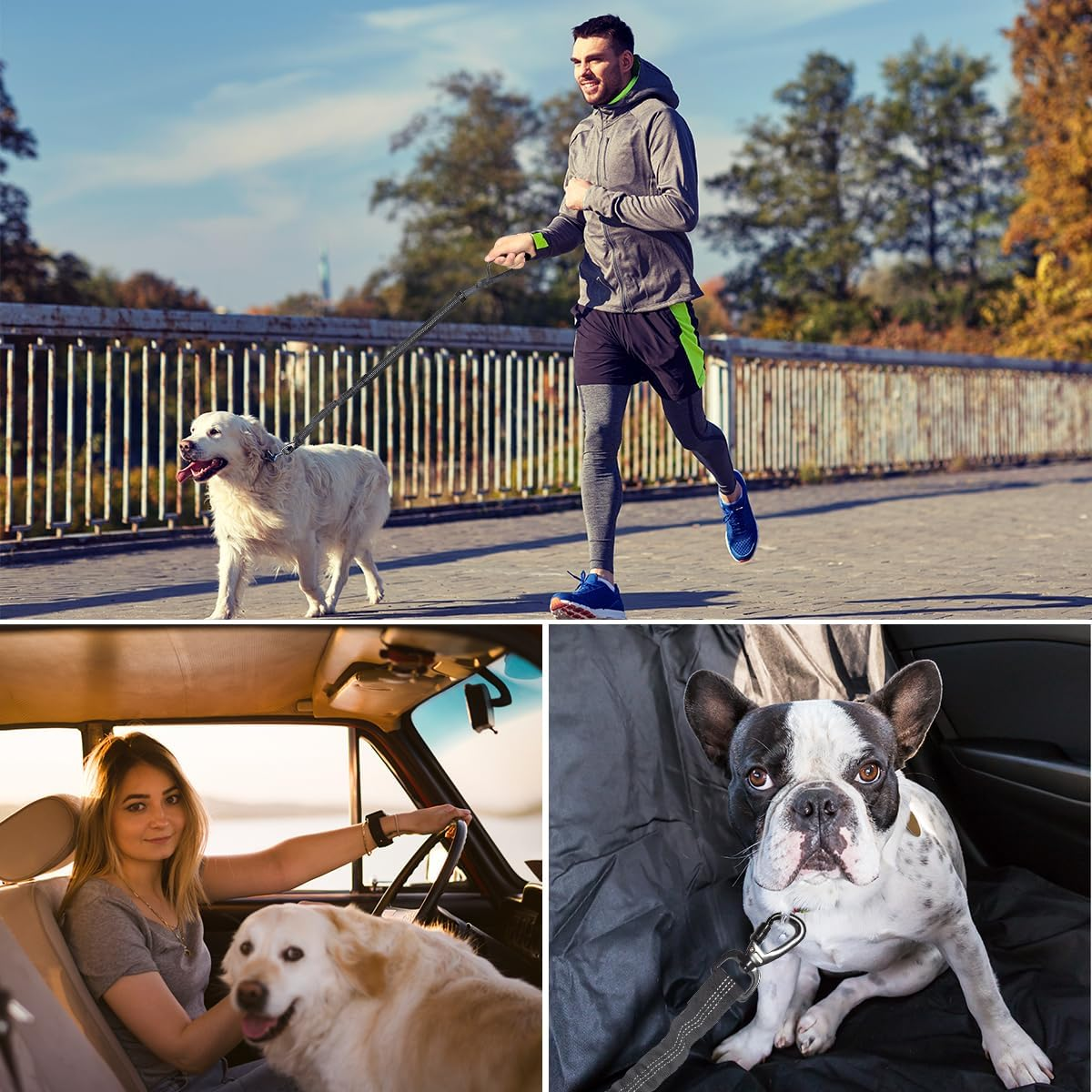 Ruayia Seat Belt Dog Car 3-In-1, Car Dog Buckle with Elastic Shock Absorption, Thick Zinc Alloy, Double Secure Bolt Hook and Double Buckle, Black image number 2