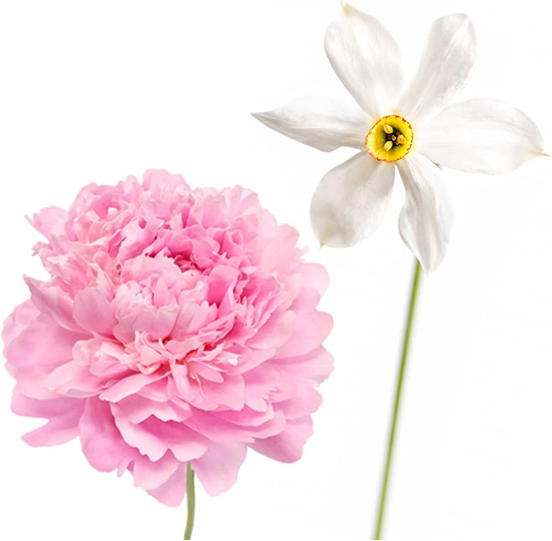 Derek Lam Hi-Fi, 175 Ml image number 2