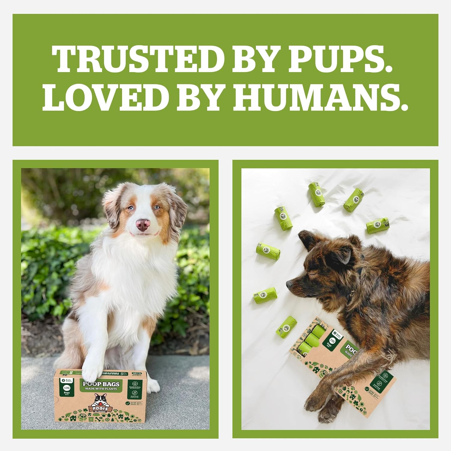 Pogi'S Compostable Dog Poop Bags - 9 Rolls (135 Bags) - Leak-Proof, Extra-Large, Plant-Based, ASTM D6400, EN 13432 Certified Poop Bags for Dogs image number 3