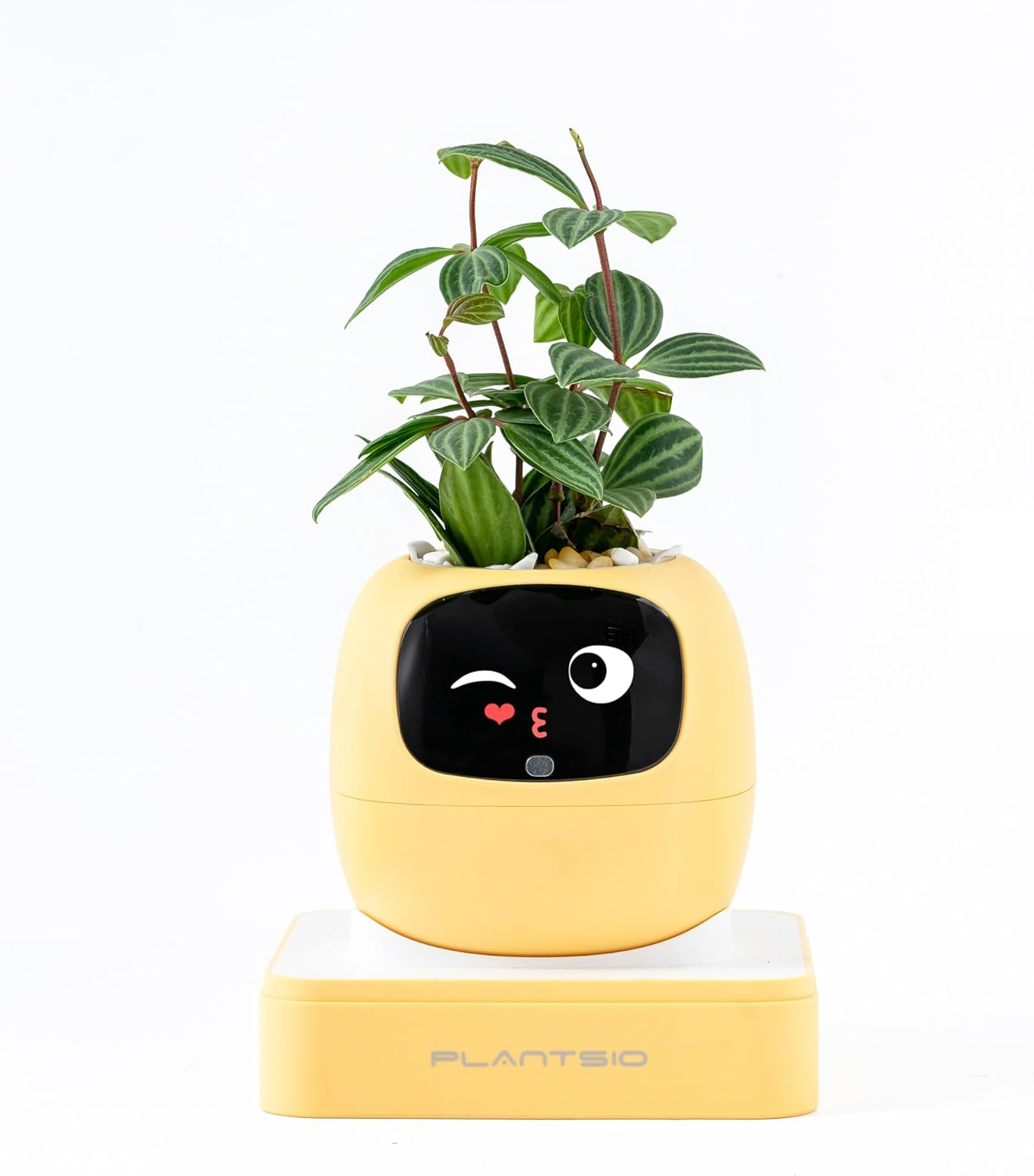 Smart Pet Planter Robot Guidance on Plant Care with Emojis, Adorable Plant Companion with Rich Gesture Interaction, Neat Desk Setup Gift(Green)