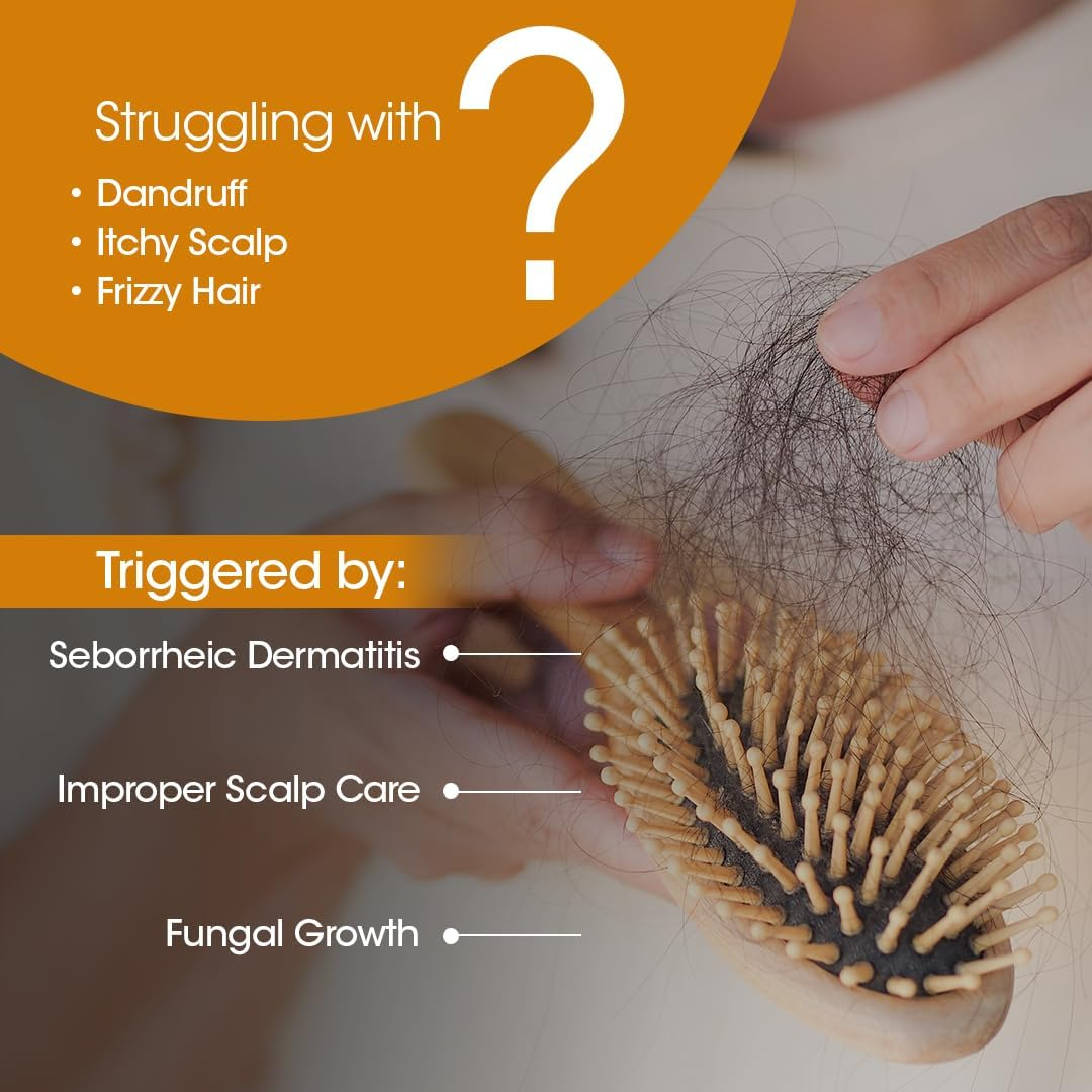 TAC - the Ayurveda Co. Bhringraj Oil for Hair Fall with Amla & Methi for Men & Women, Sulphate and Paraben Free - 150Ml image number 2