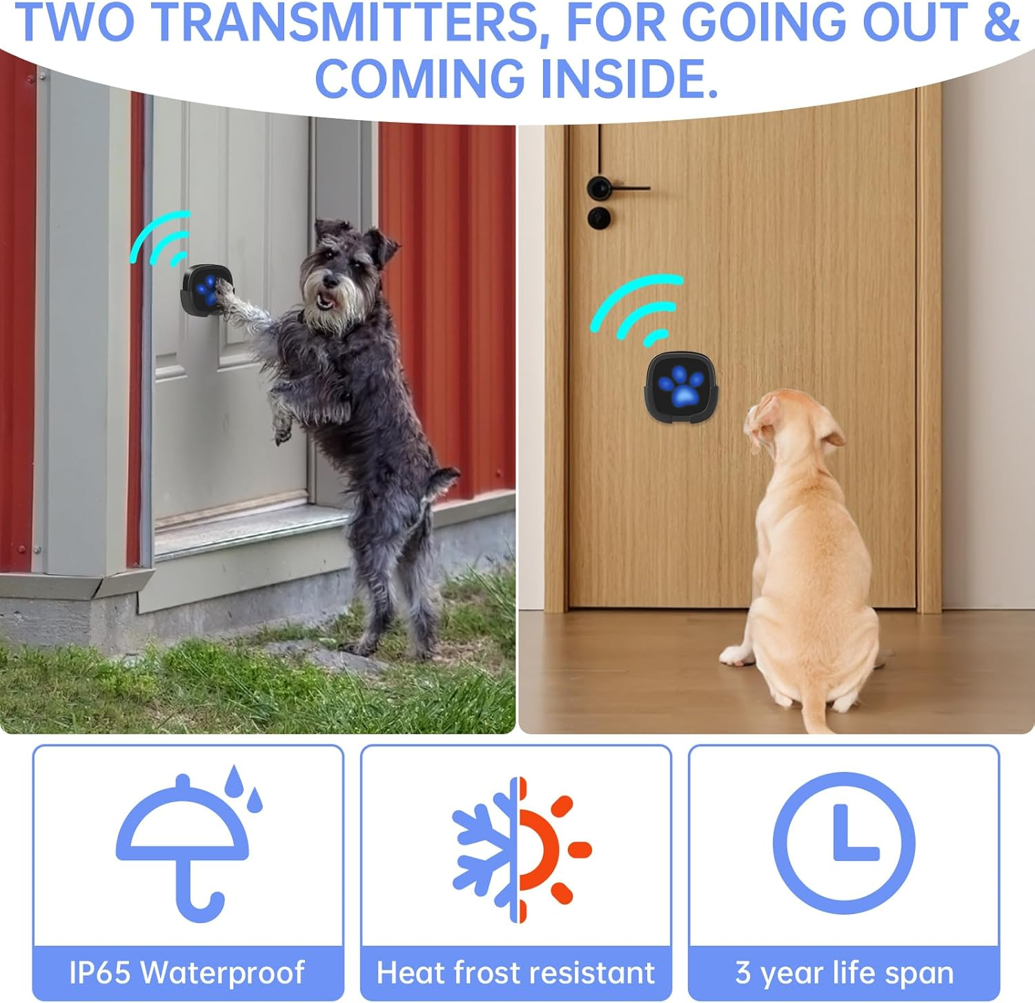 Whimsii Dog Doorbell, Wireless Ring Bell to Go Outside, IP55 Waterproof Buttons, 55 Melodies, 4 Volume Levels & 950Ft Range (Black, 1 Reciever 2 Transmitters) image number 6
