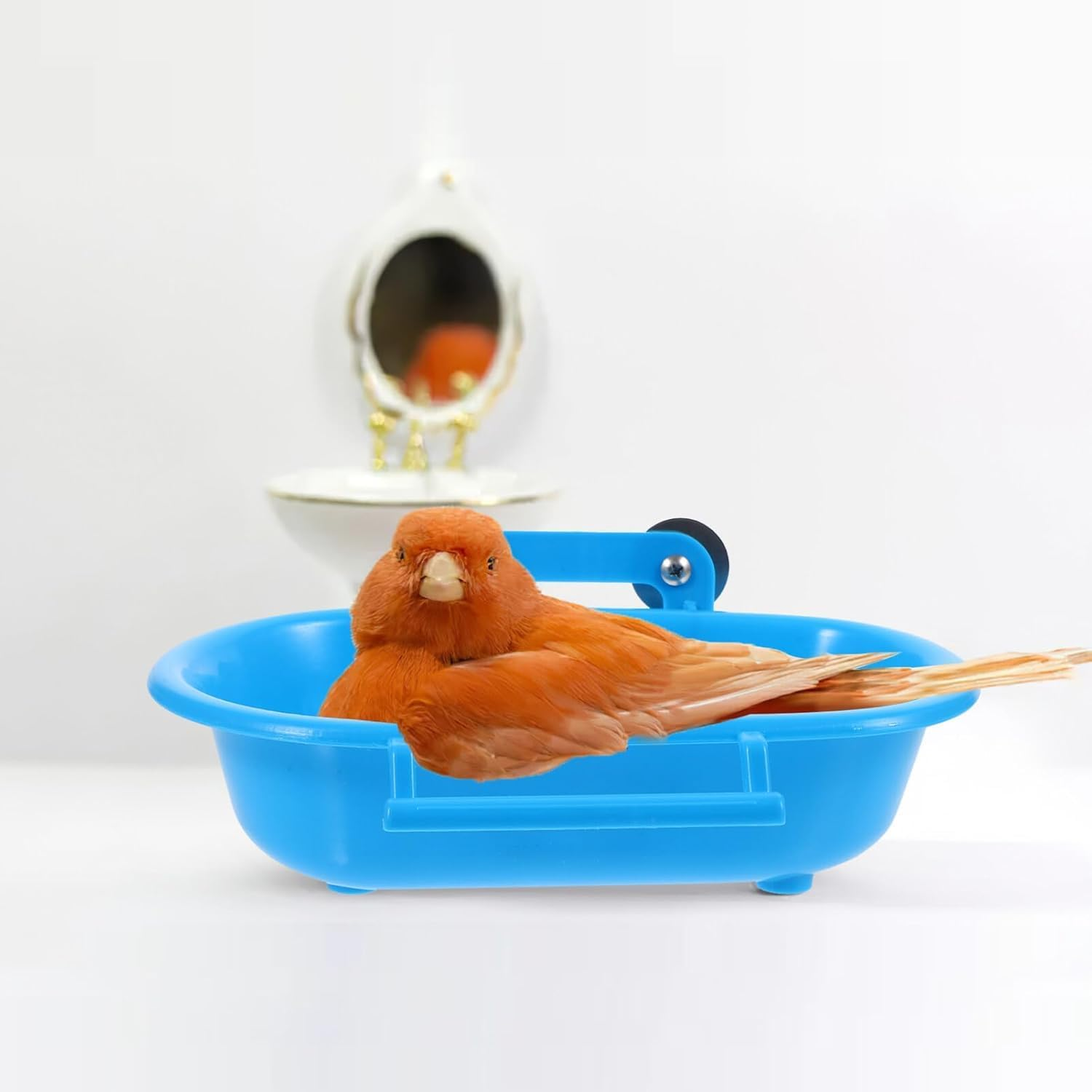 Plastic Parrot Bath Box, Bird Cage Accessory Bathing Tub Bath for Parakeet Pet Birds (Blue)
