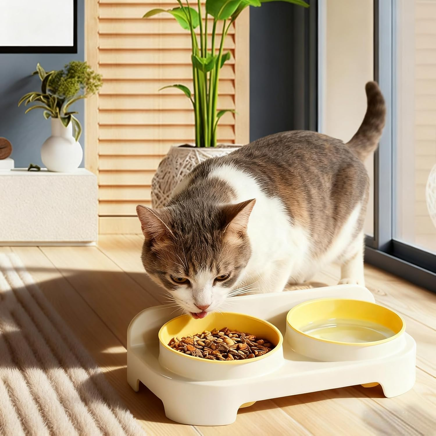 Alyxen Raised Cat Bowl, Plastic Feeding Bowl, Ergonomic Cat Bowl, 15&deg; Tilted Food and Water Bowls for Cats and Puppies image number 3