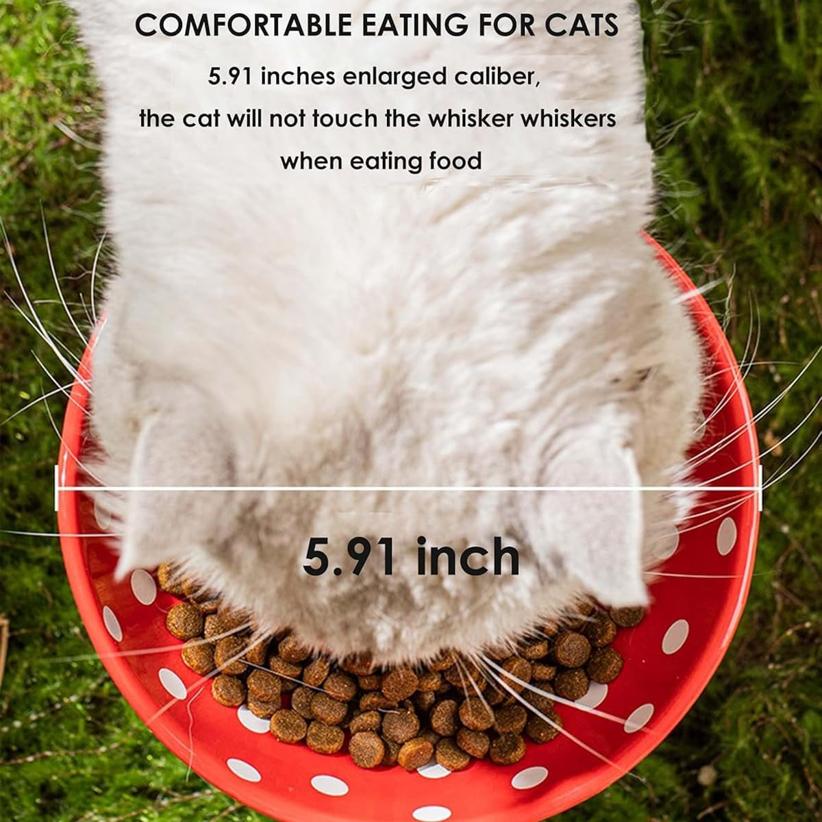 AIMALL Elevated Pet Bowl, Non-Slip Cat Feeding Bowl with Polka Dot Design, Food Grade, Suitable for Small, Adult and Senior Cats, 5.91 X 5.51 Inches image number 5