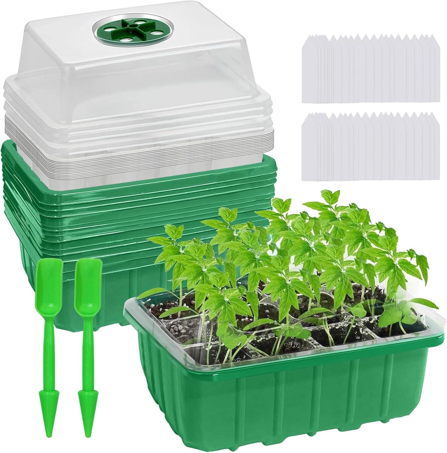 144-Cell Seed Starter Tray, 12-Pack Reusable Trays with Humidity-Vented Domes and Base for Organic Seed Germination. Ideal Plant Starter Kit Includes Labels and Transplant Tools for Starting Seeds image number 1