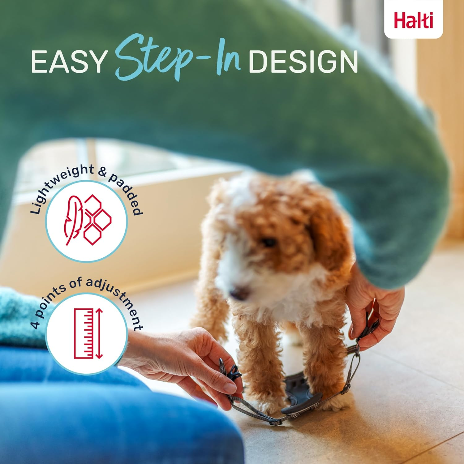 HALTI Anatomy Puppy Harness - Provides Your Puppy Freedom of Movement for Comfortable Walking. Easy-Fitting with 4 Points of Adjustment. Suitable for Miniature Dog Breeds (Size Xx-Small, Grey) image number 5