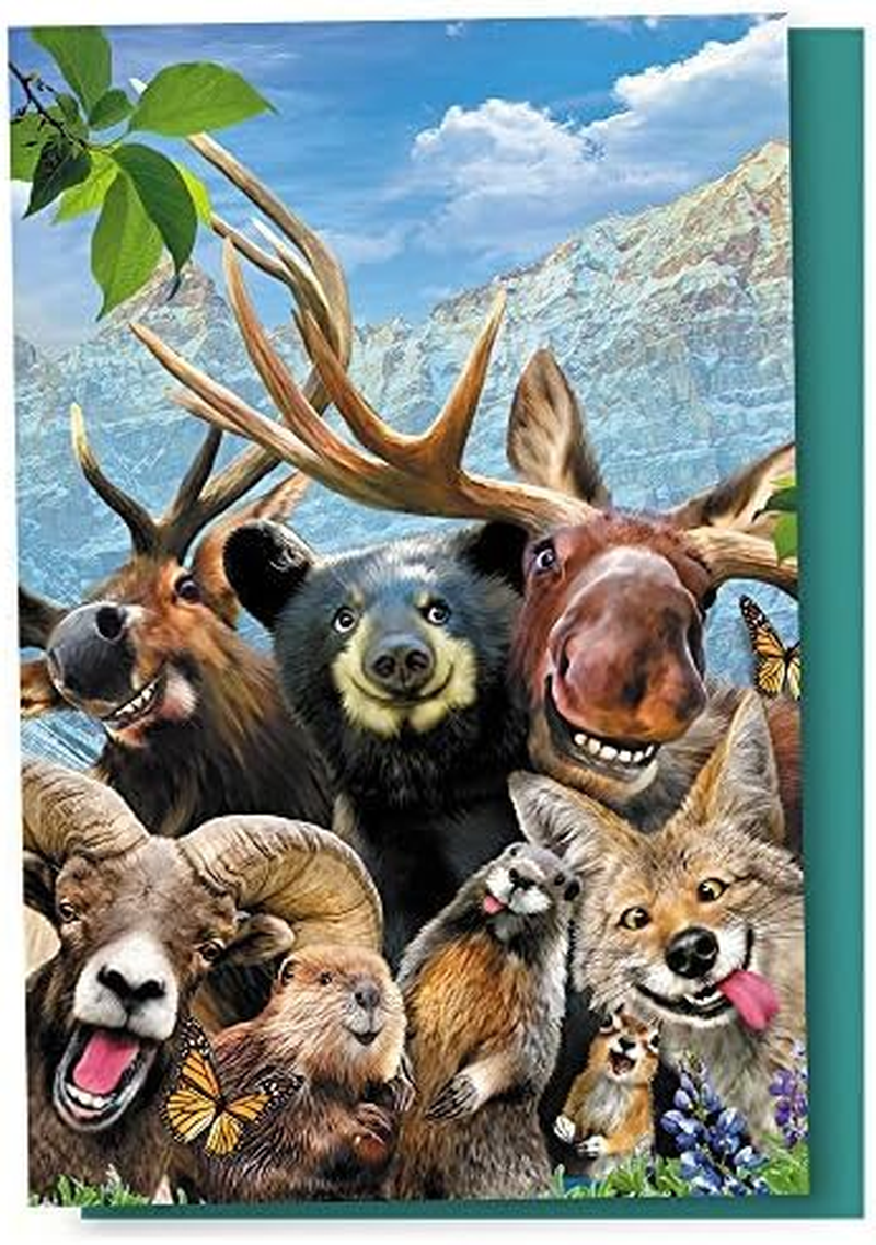 Tree-Free Greetings Econotes 12 Count Rocky Mountain Selfie All Occasion Card Notecard Set with Envelopes, 4 X 6 Inches (FS56909)