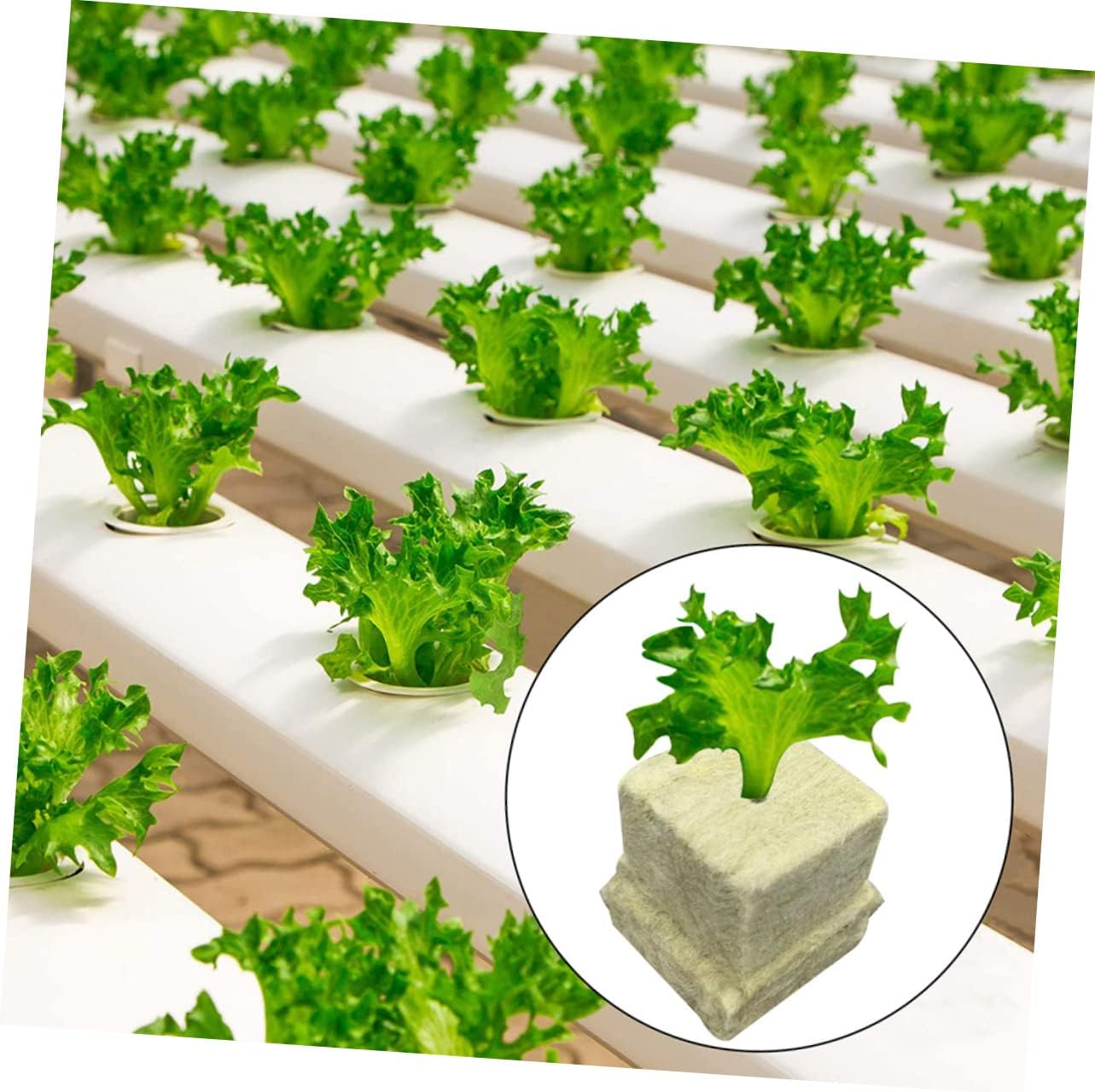 SUPVOX 200Pcs Garden Hydroponic Grow Starter Plugs Nutrient Rich Wool Cubes Easy to Plant Gardening Supplies image number 1