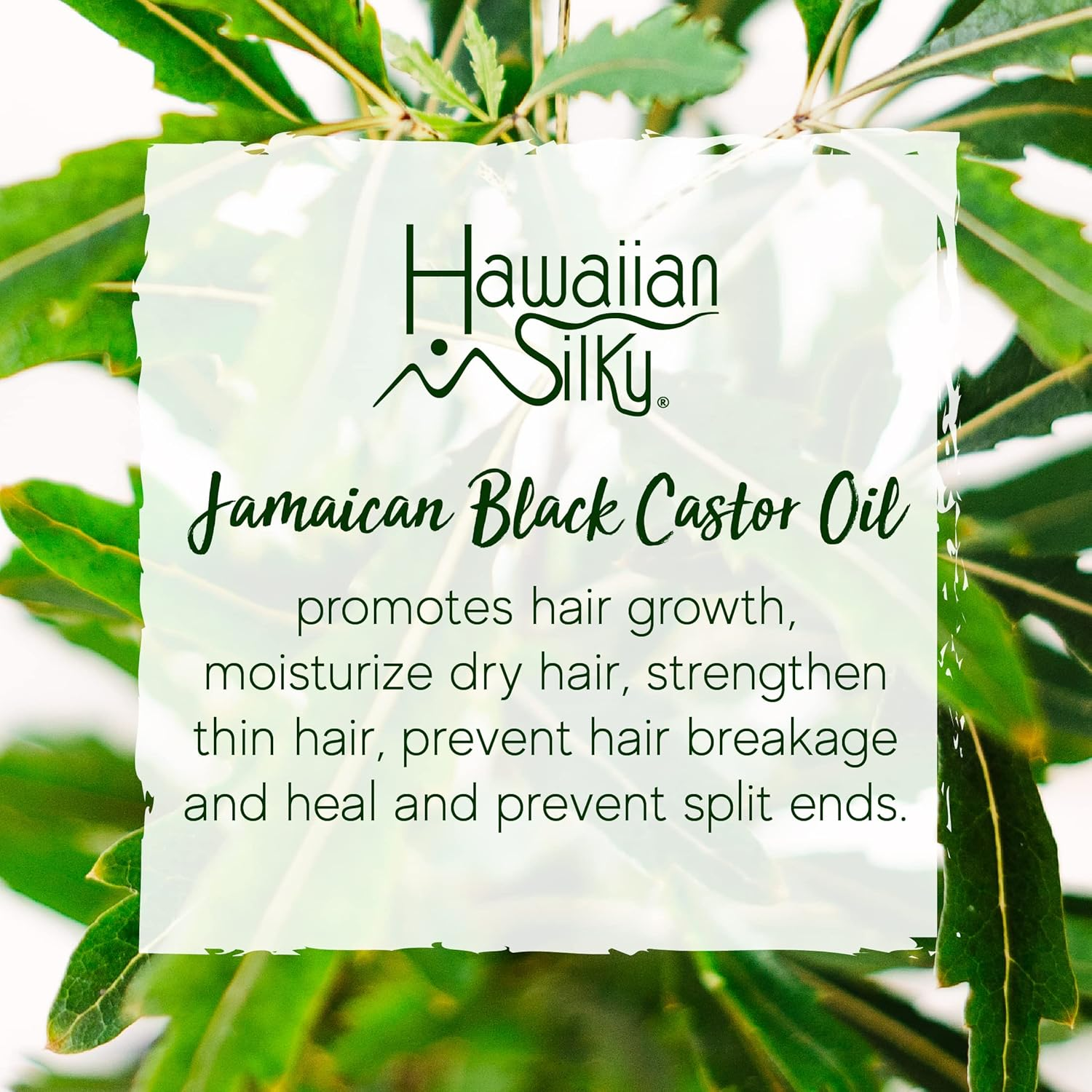 Hawaiian Silky Jamaican Black Castor Oil & Avocado Oil image number 4