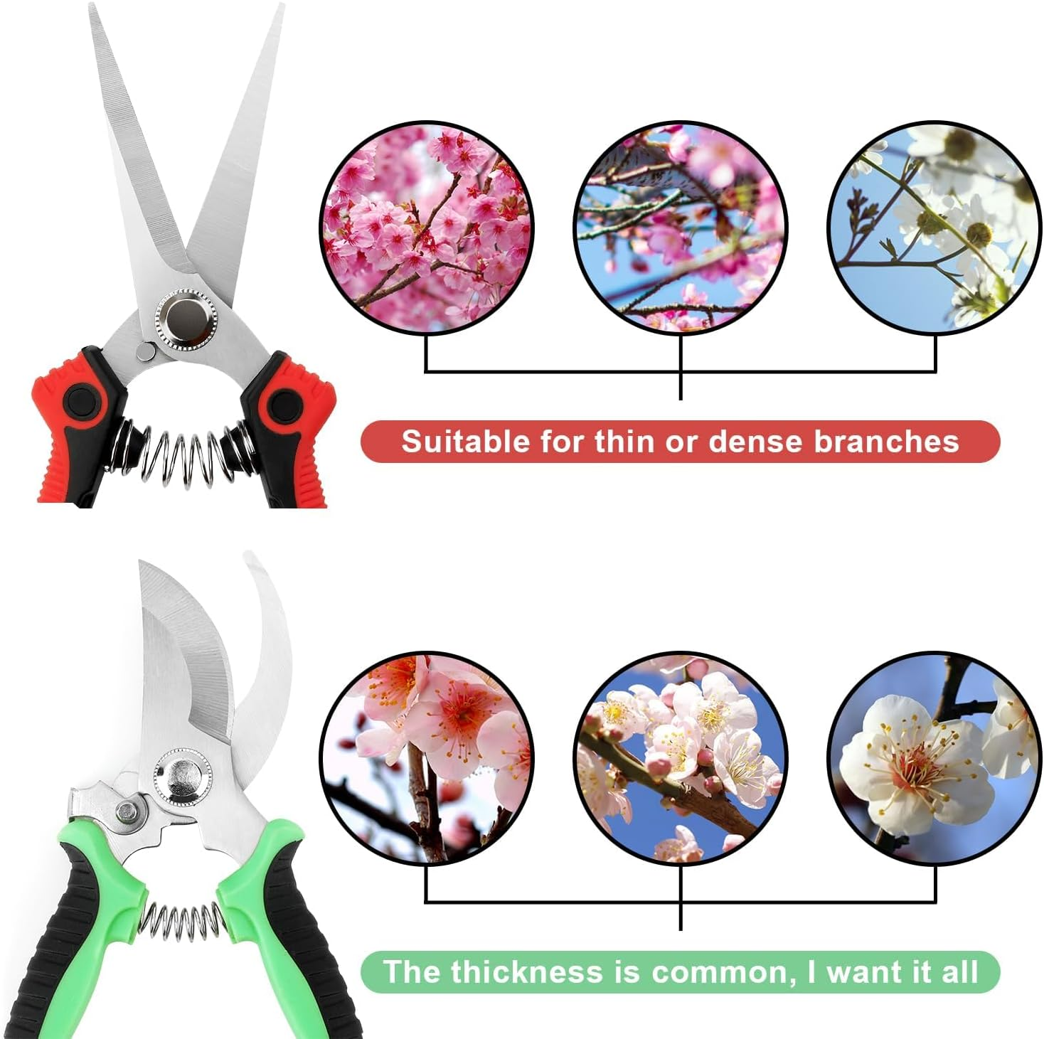 Pruning Shears Steel Blade Garden Shears with Safety Lock, Ergonomic Handles for Tree Trimming, Branch Cutting, Hedges & Plants (Green, 19Cm/7.5") image number 3