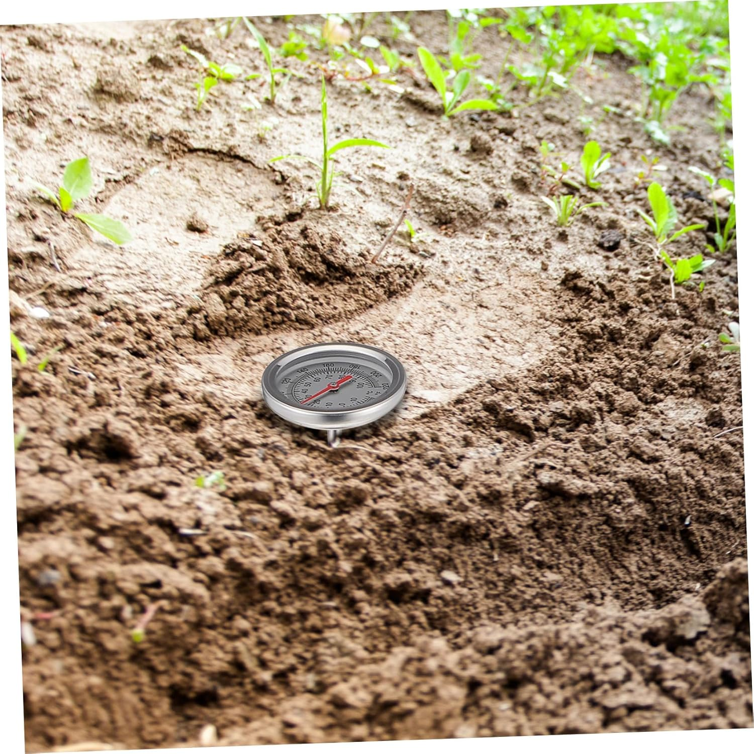 Stainless Steel Compost Soil Thermometer Extended 50Cm Probe for Gardening and Planting, Precise Soil Temperature Detector 10 to 100℃ 0 to 220℉, Single Pack image number 2