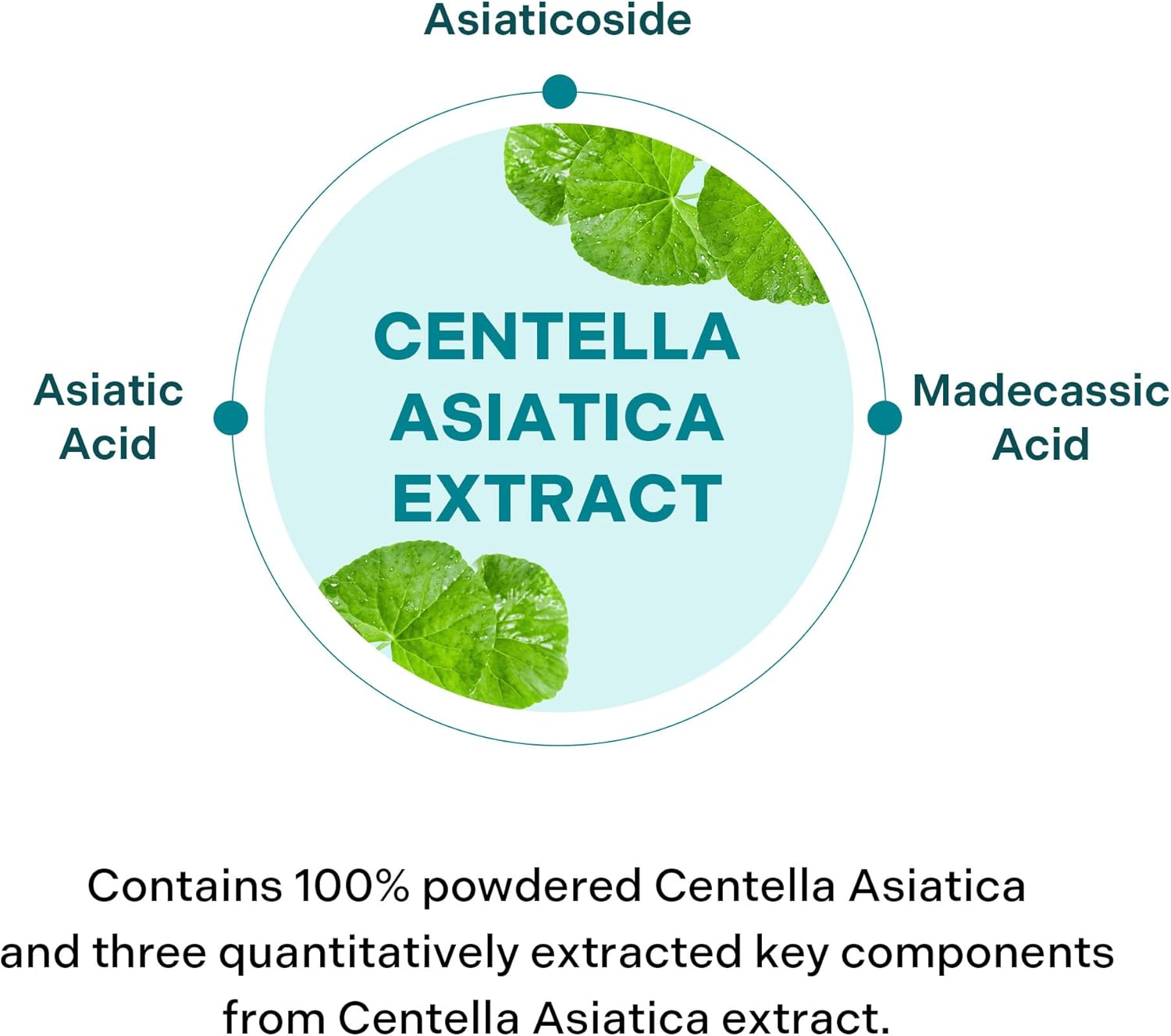 ALIVELAB Centella Dressing Powder &ndash; Acne Spot Treatment for Sensitive & Oily Skin &ndash; Fast Drying Blemish Healing Formula with Centella Asiatica for Redness Relief & Oil Control &ndash; 8Ml image number 4
