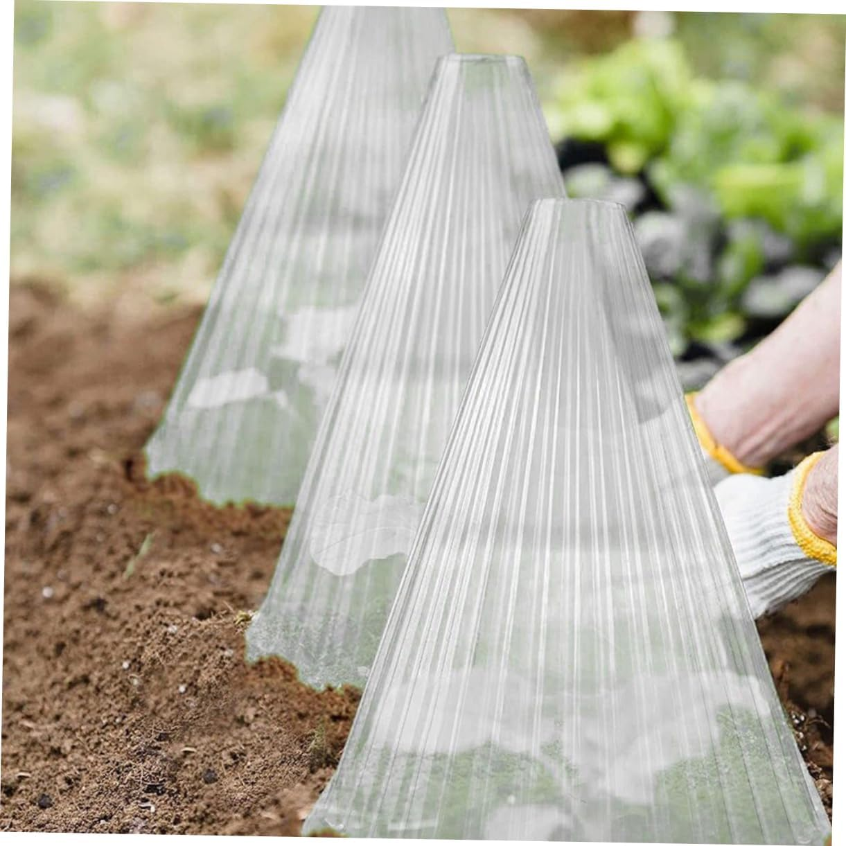 Yardwe 10Pcs Translucent Plant Covers Air Vent Gardening Plant Protectors for Frost Freeze image number 6