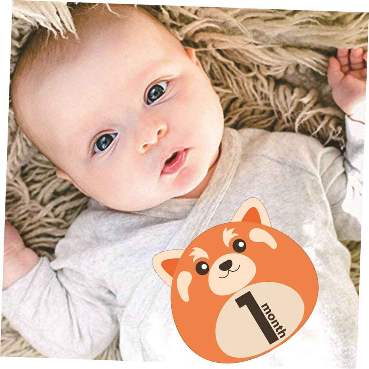 Bestonzon 12 Sheets Monthly Milestone Stickers Self-Adhesive Animal Design Decals for Newborn Belly Photo Props Reusable Growth Tracking image number 1